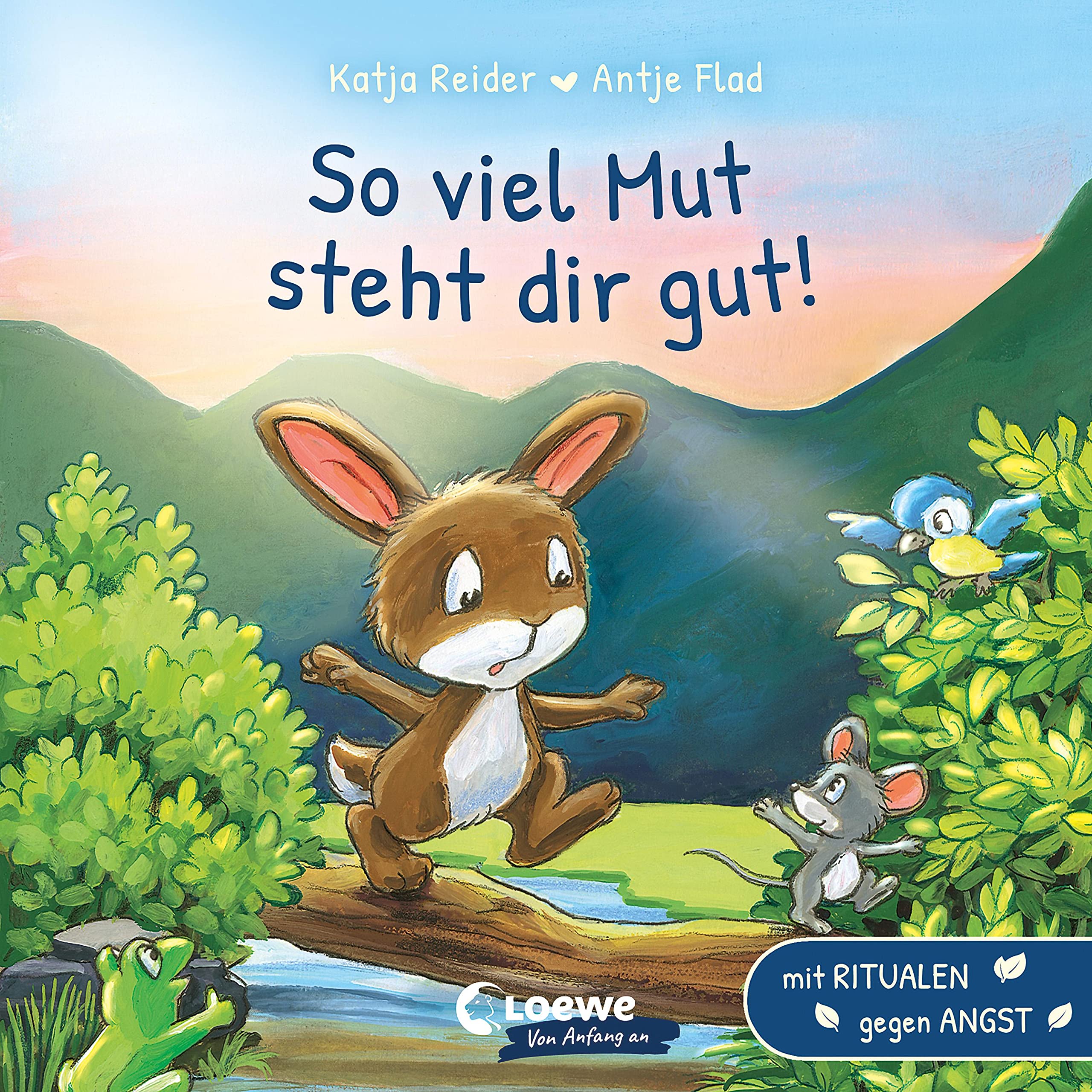 So viel Mut steht dir gut! Social Sciences Books