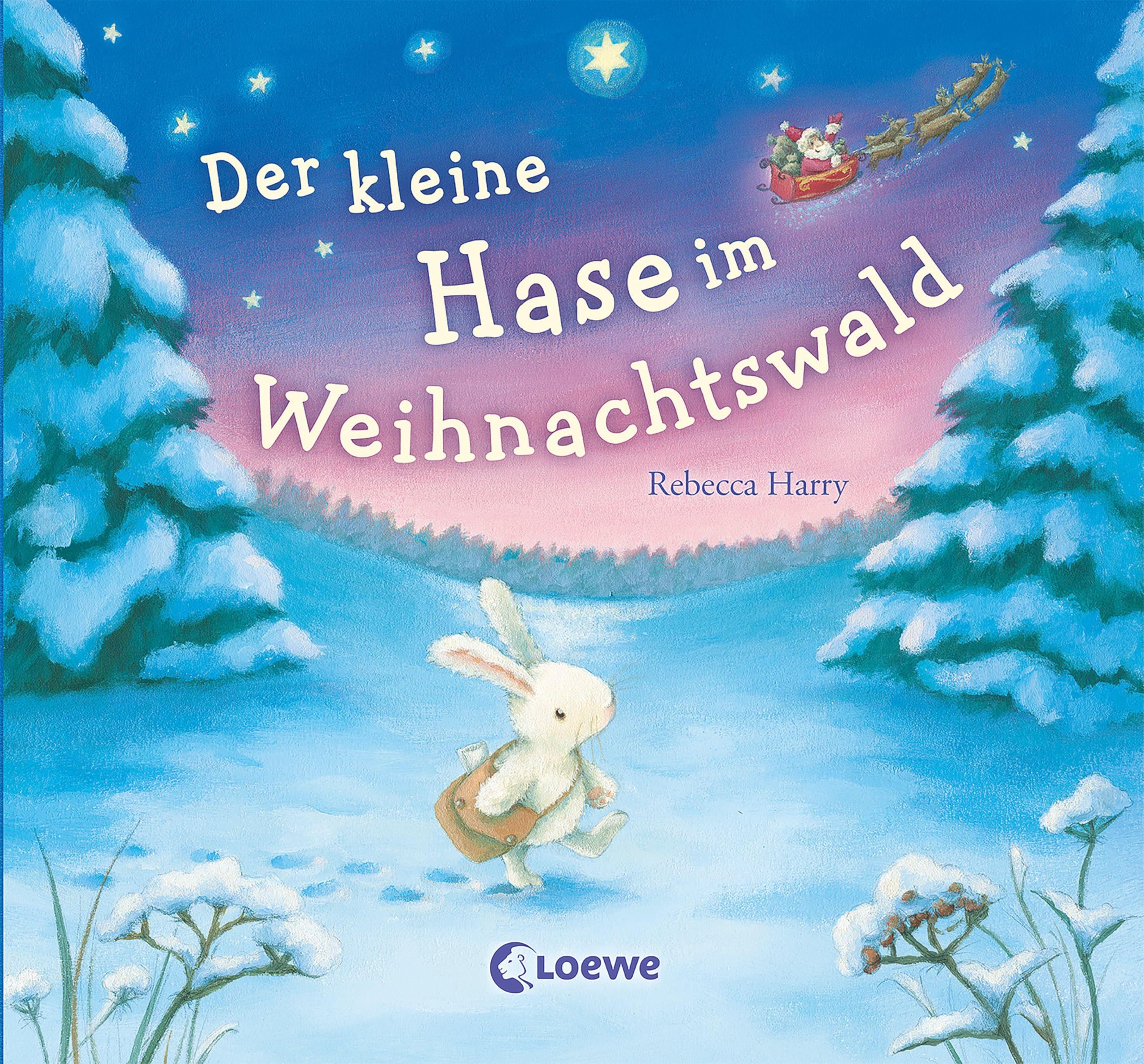 Der kleine Hase im Weihnachtswald Leisure, Home & Garden
