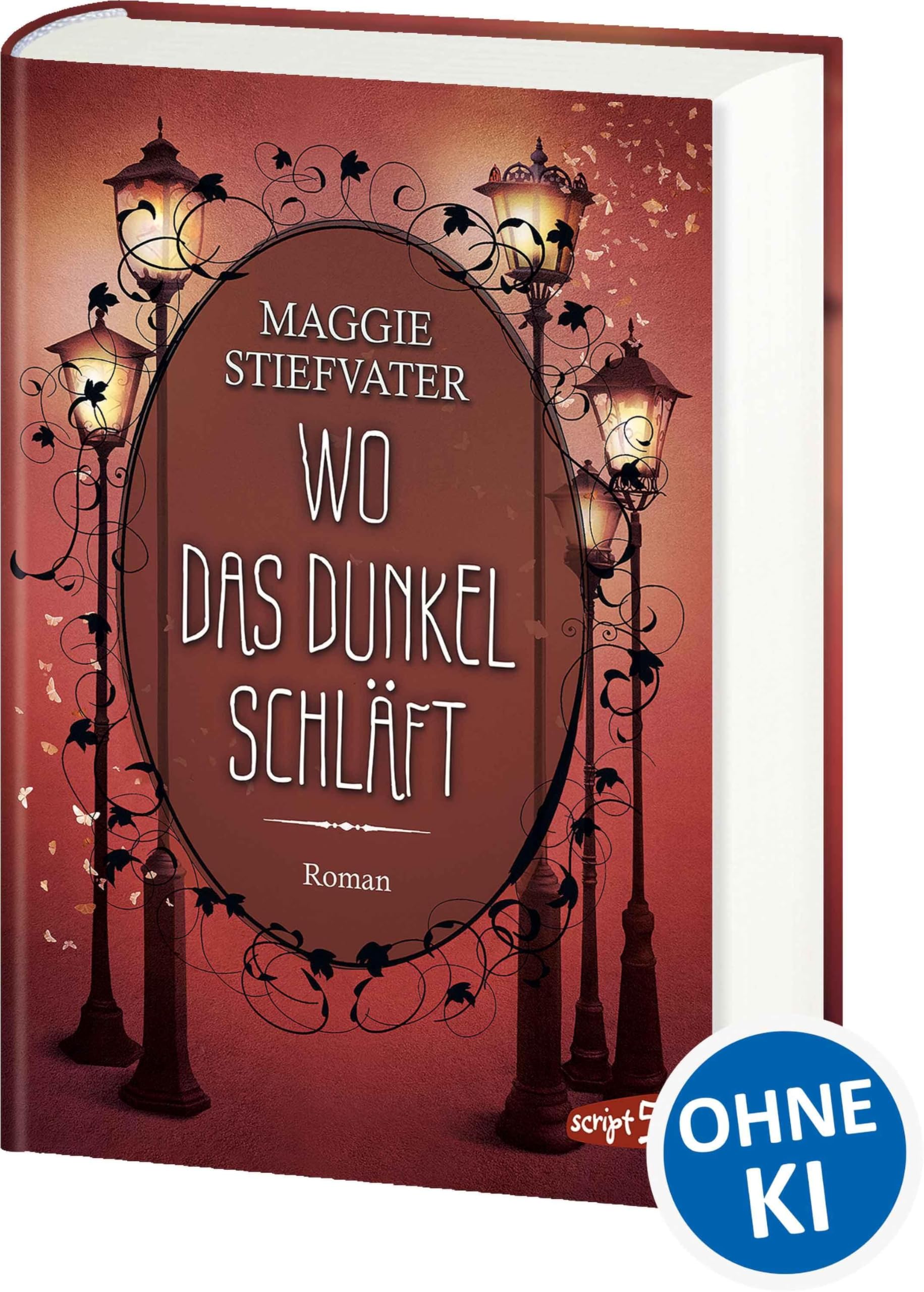 Wo das Dunkel schläft (Band 4) Contemporary literature