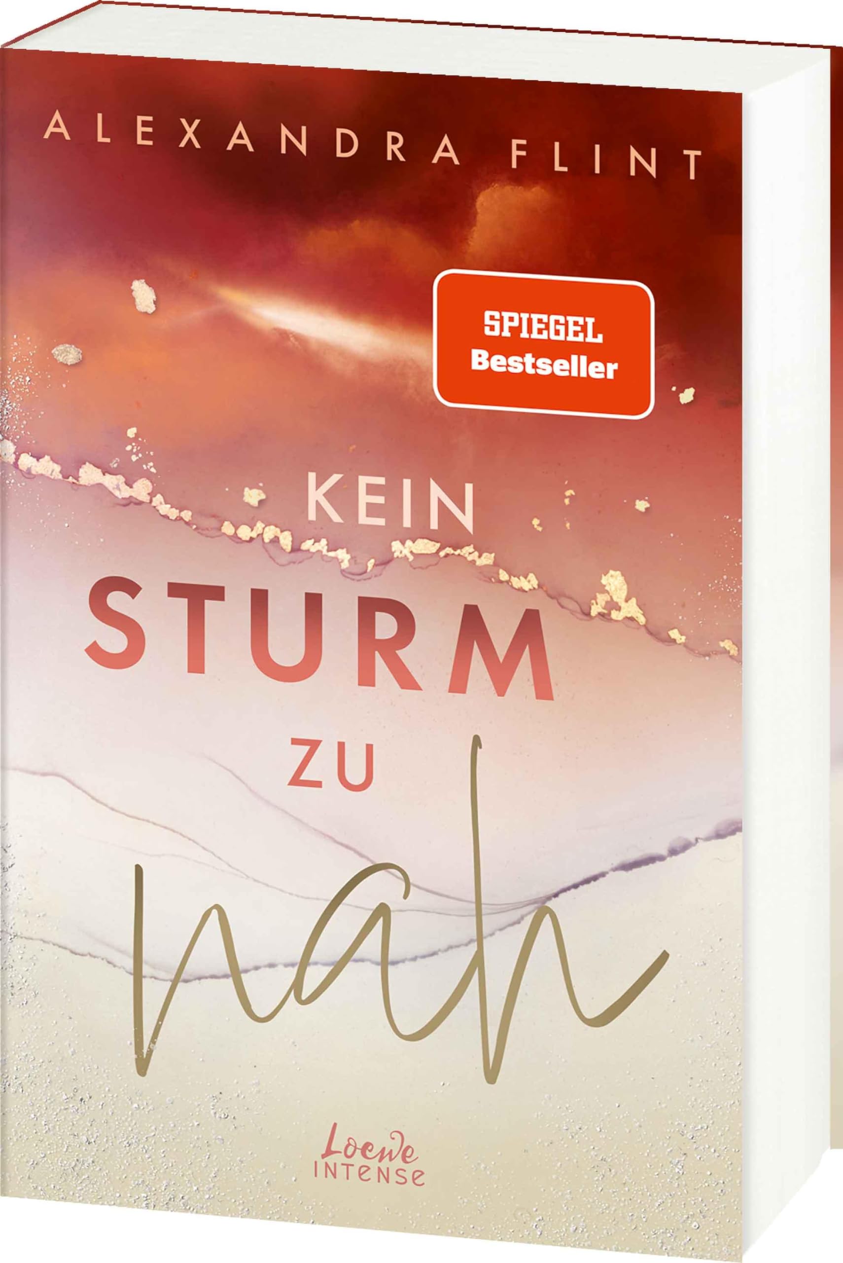 Kein Sturm zu nah (Tales of Sylt, Band 2) Contemporary literature