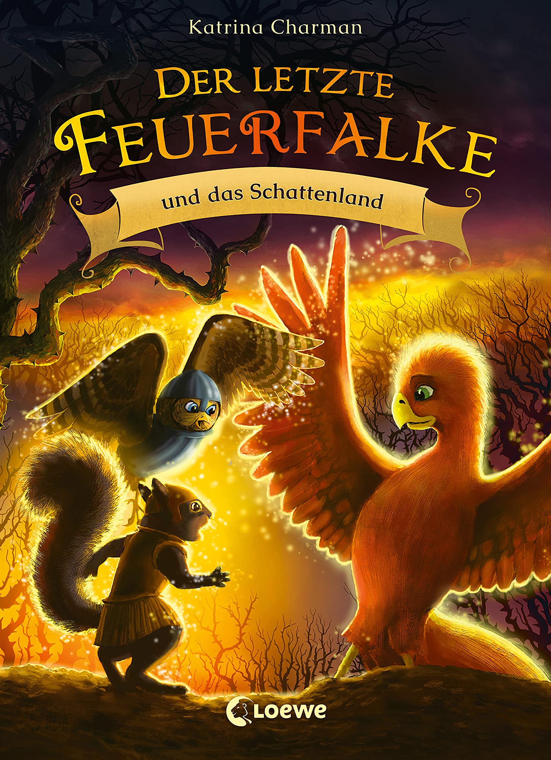 Der letzte Feuerfalke und das Schattenland (Band 5) Contemporary literature