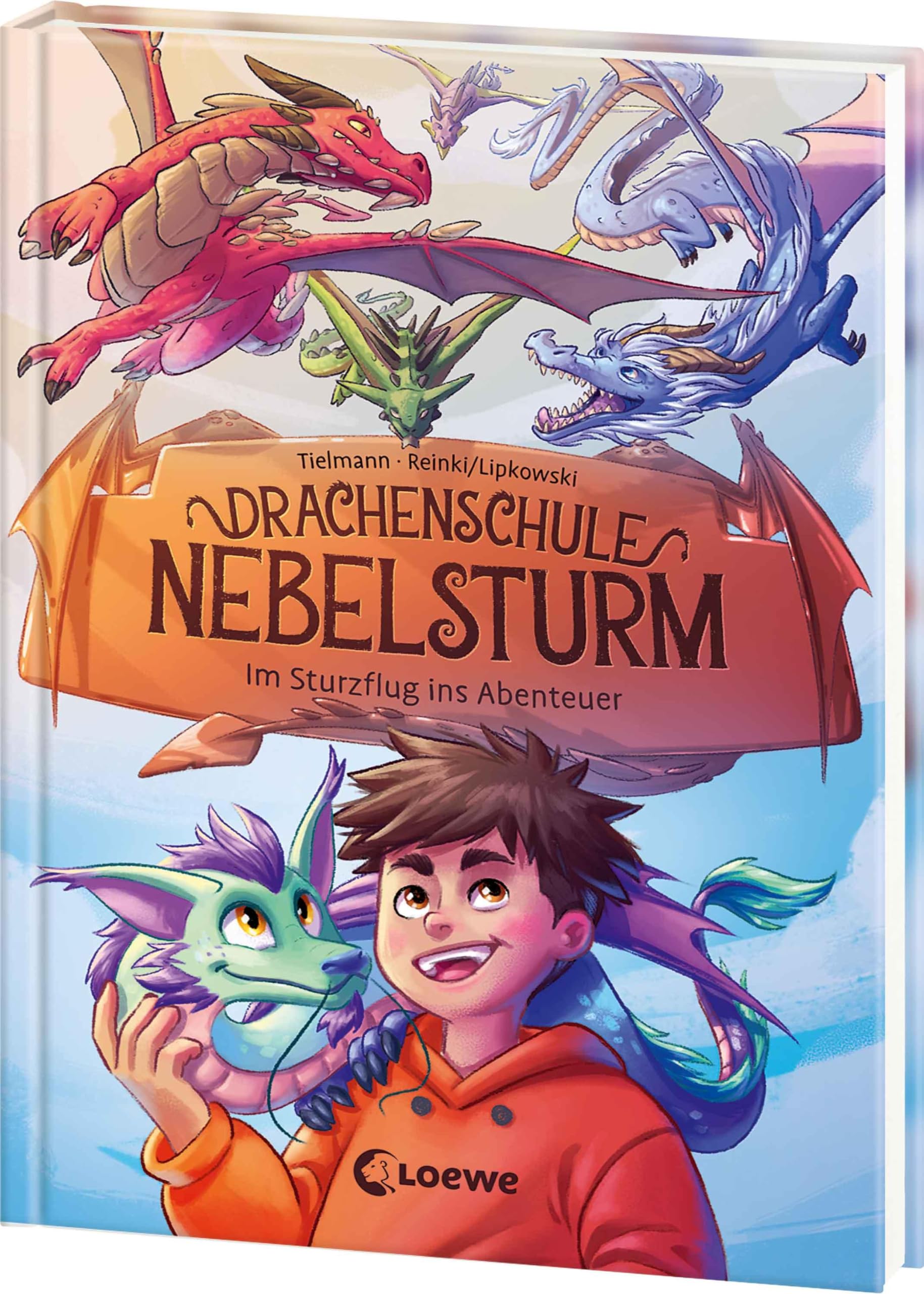 Drachenschule Nebelsturm (Band 1) - Im Sturzflug ins Abenteuer Contemporary literature