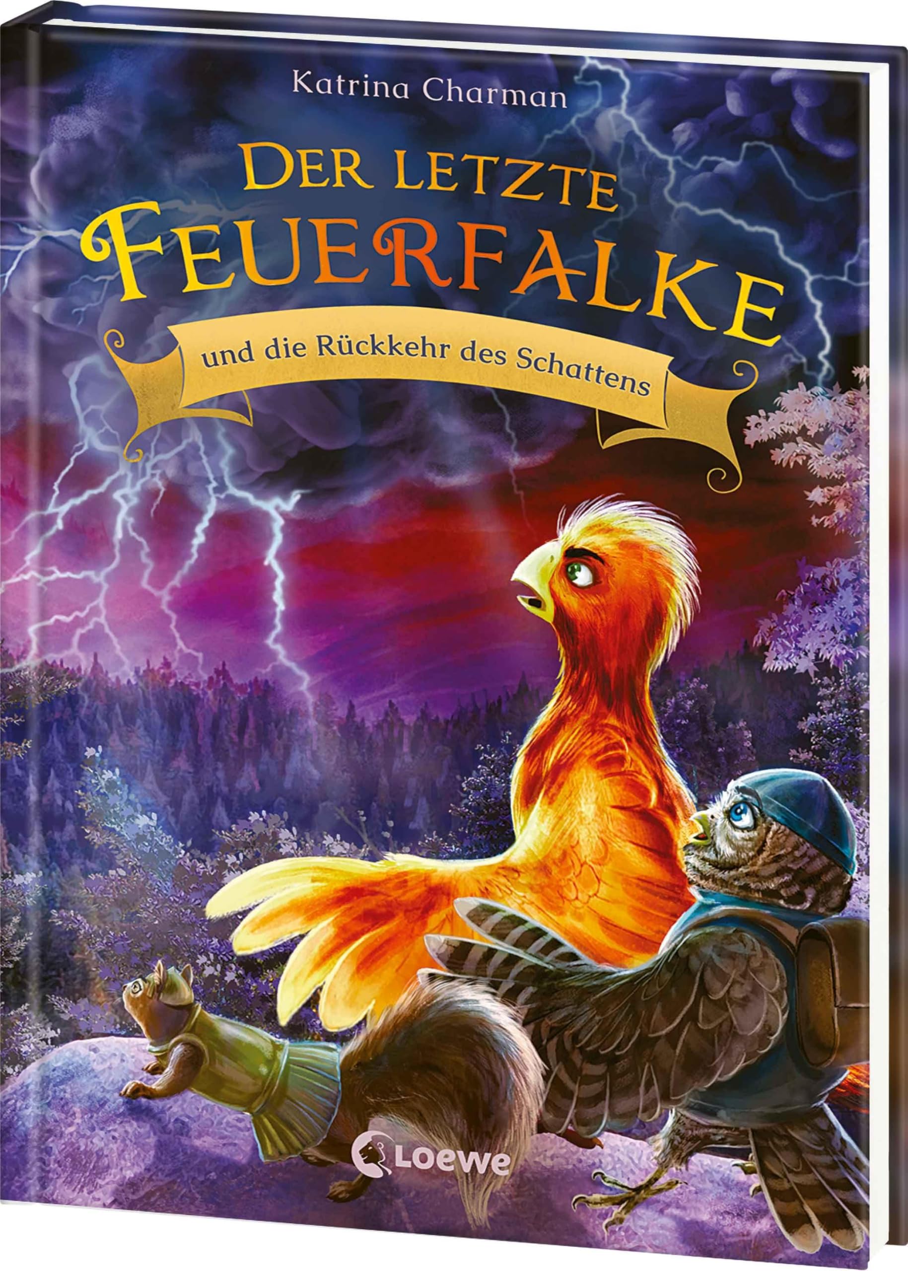 Der letzte Feuerfalke und die Rückkehr des Schattens (Band 12) Contemporary literature