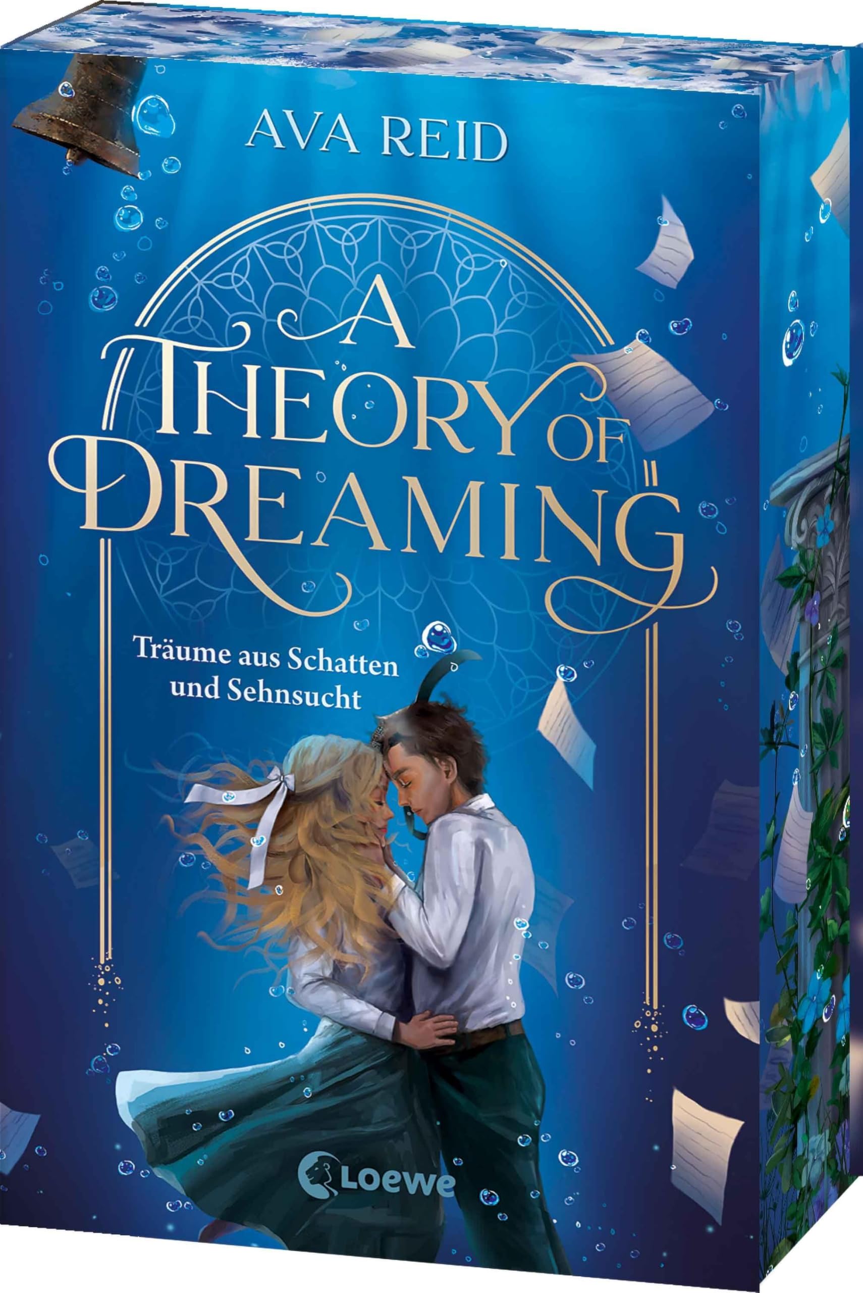 A Theory of Dreaming (A Study in Drowning, Band 2) Social Sciences