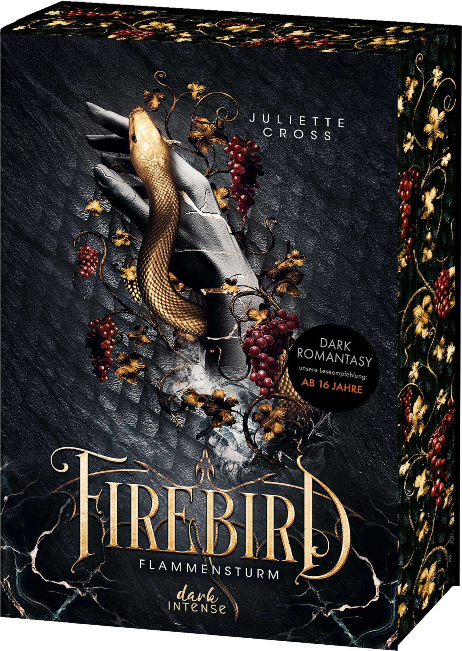 Firebird (Flammensturm, Band 1) Contemporary literature