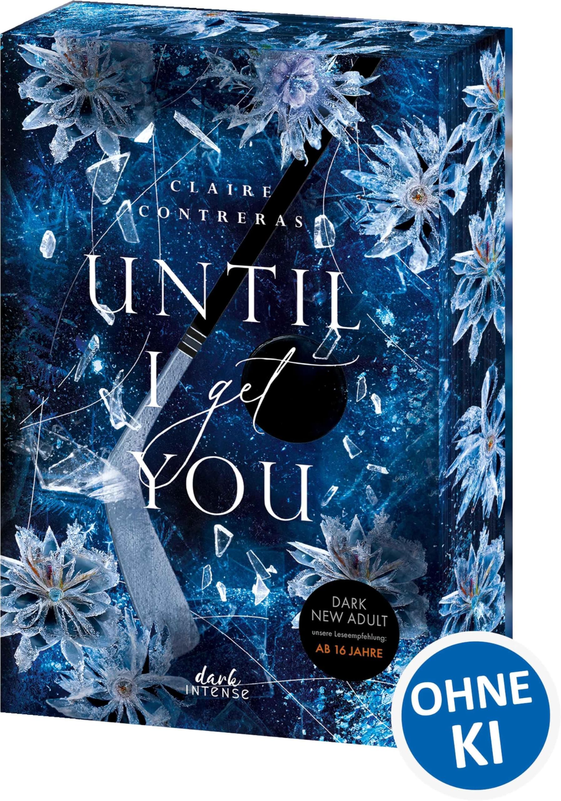 Until I Get You (Fairview Hockey, Band 1) Social Sciences