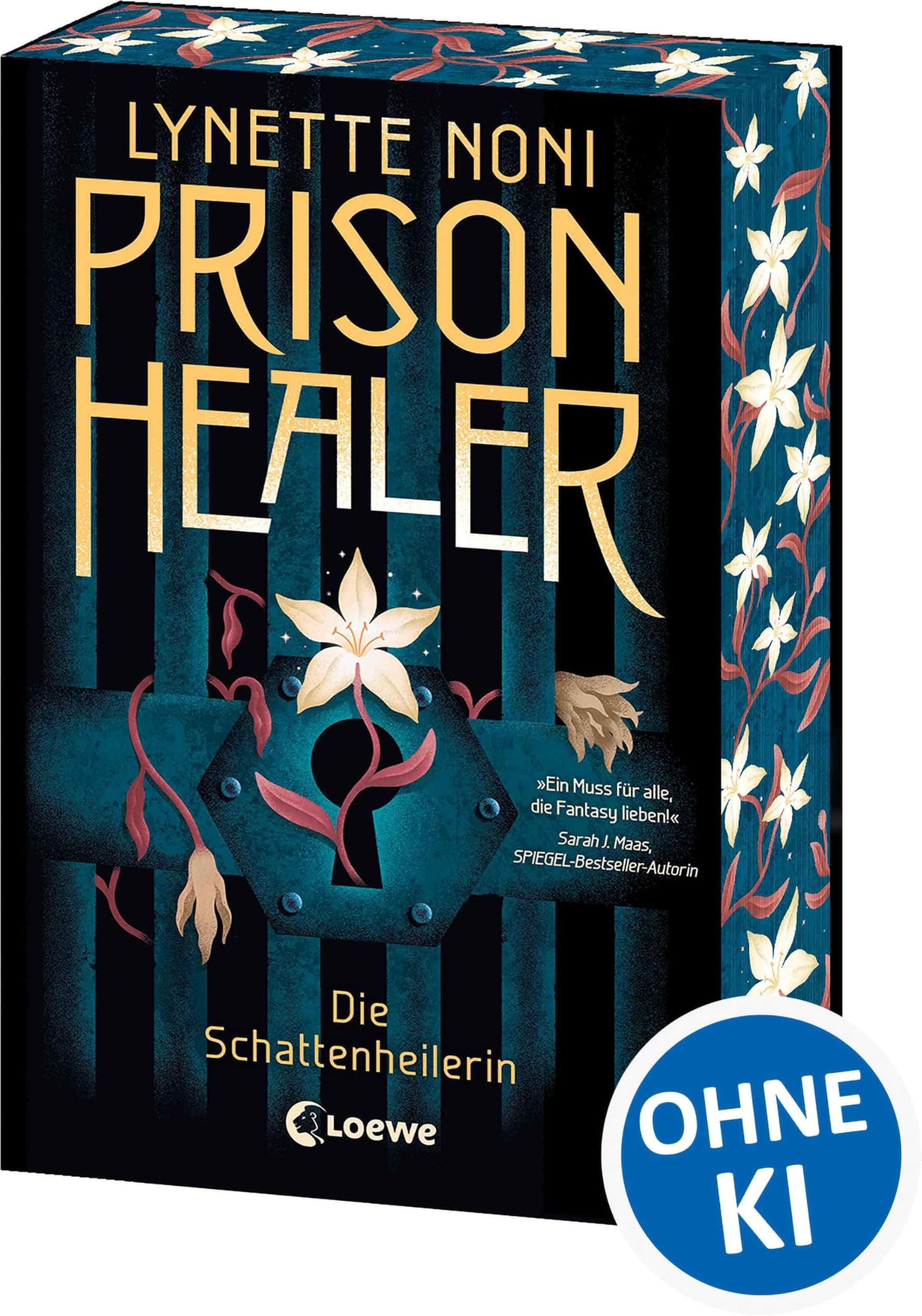 Prison Healer (Band 1) - Die Schattenheilerin Dark Fantasy