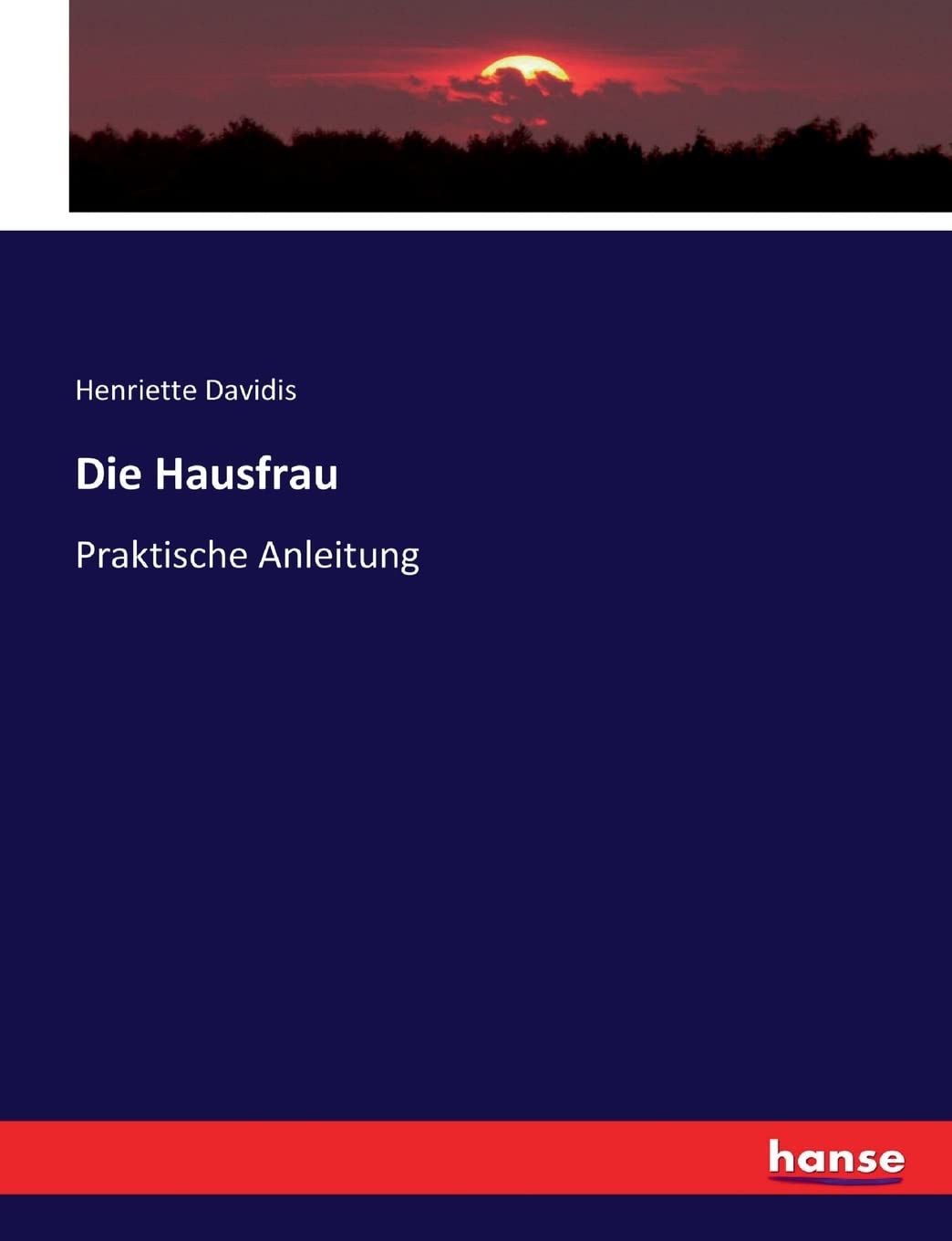 Die Hausfrau: Praktische Anleitung Politics & History