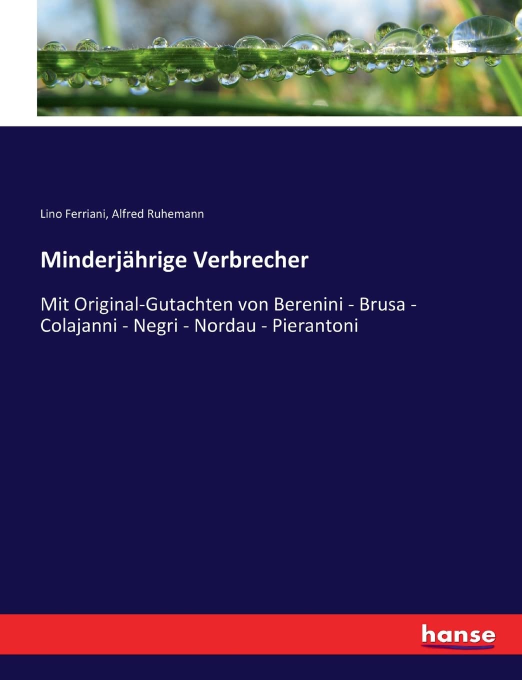 Minderjährige Verbrecher: Mit Original-Gutachten von Berenini - Brusa - Colajanni - Negri - Nordau - Pierantoni Law