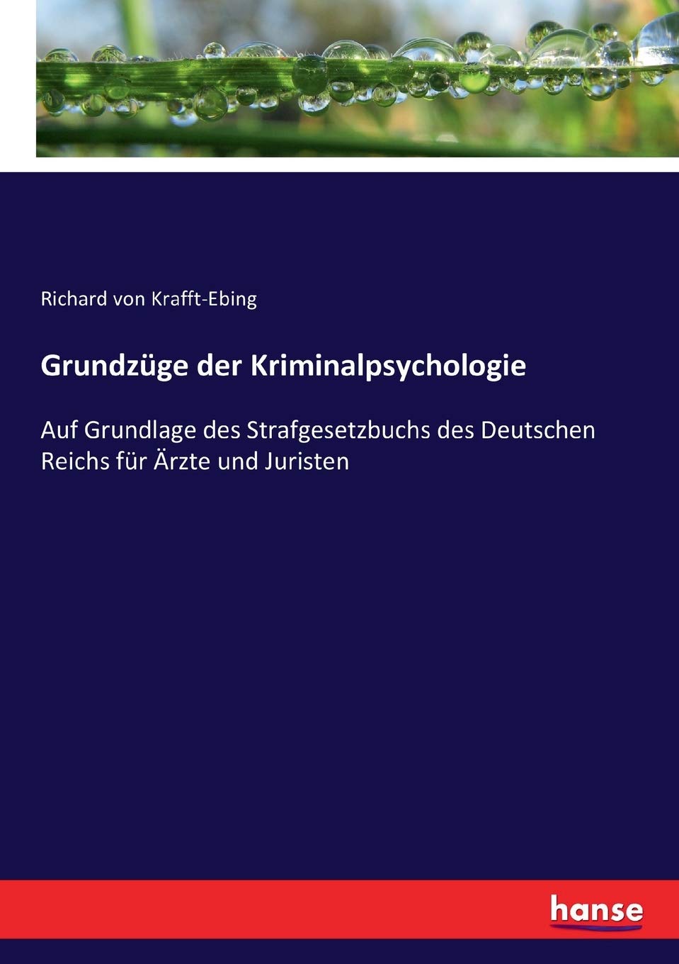 Grundzüge der Kriminalpsychologie: Auf Grundlage des Strafgesetzbuchs des Deutschen Reichs für Ärzte und Juristen Law