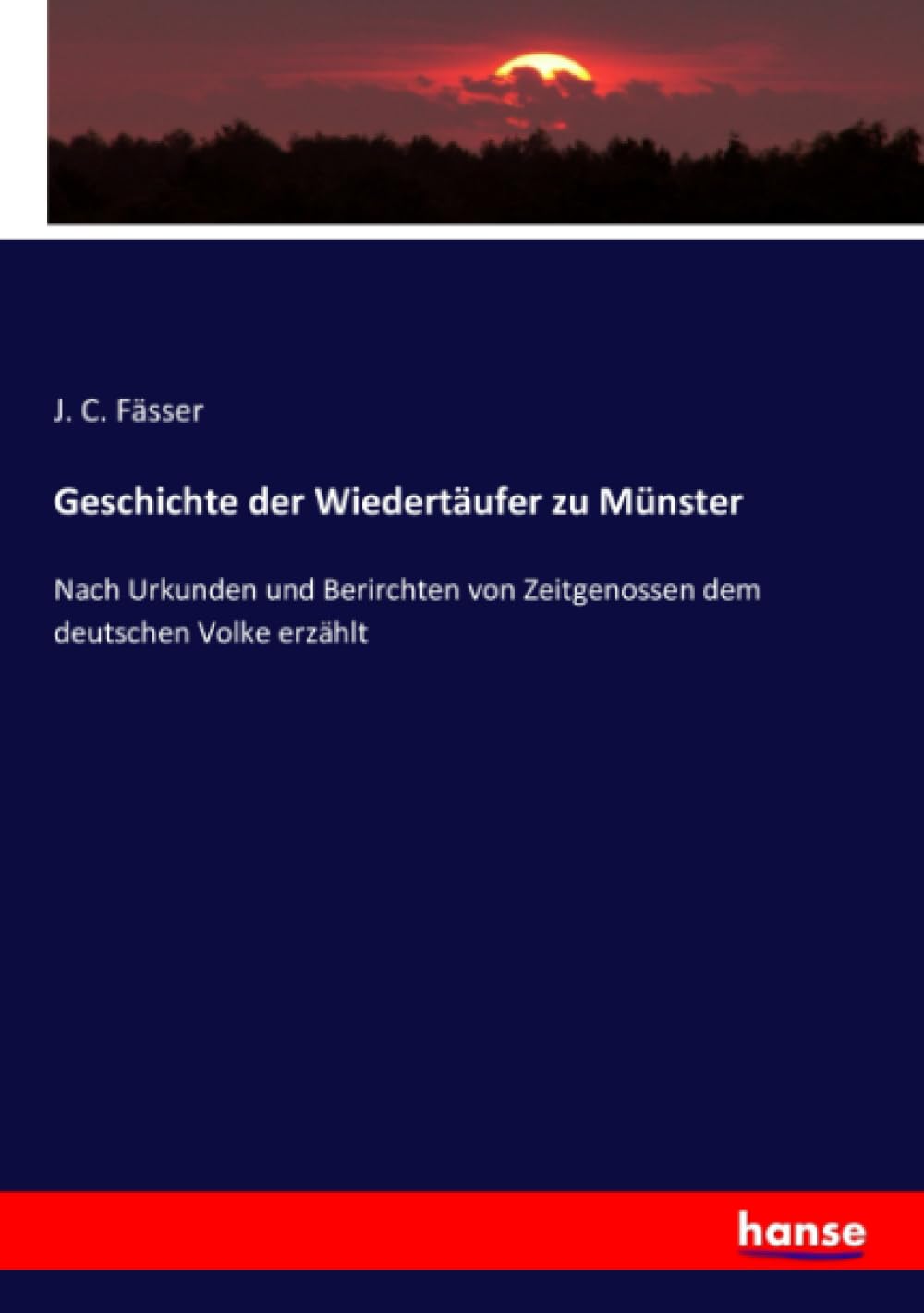 Geschichte der Wiedertäufer zu Münster: Nach Urkunden und Berirchten von Zeitgenossen dem deutschen Volke erzählt Politics & History