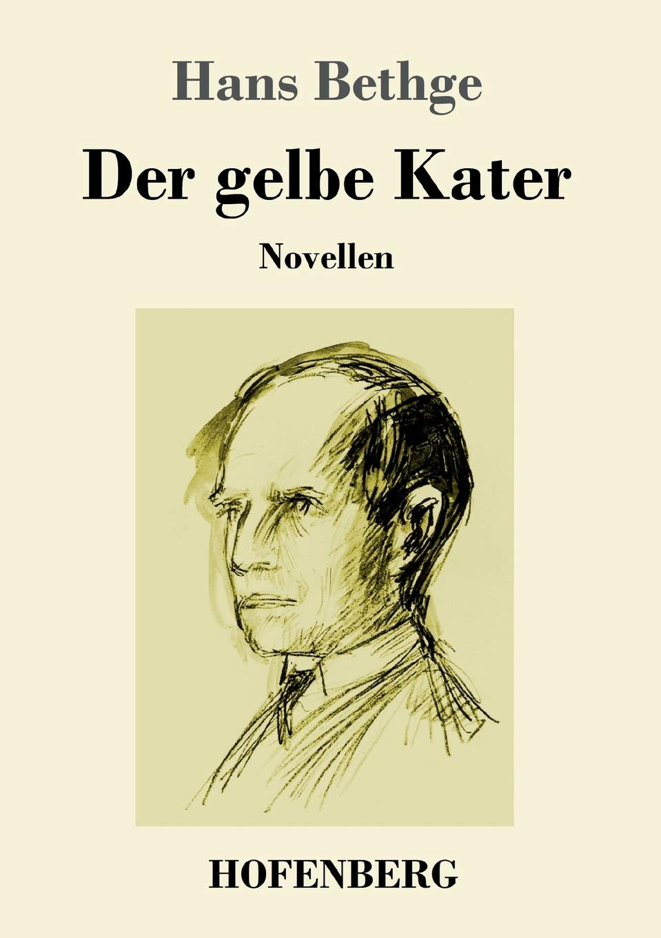 Der gelbe Kater: Novellen Essays & Short Stories