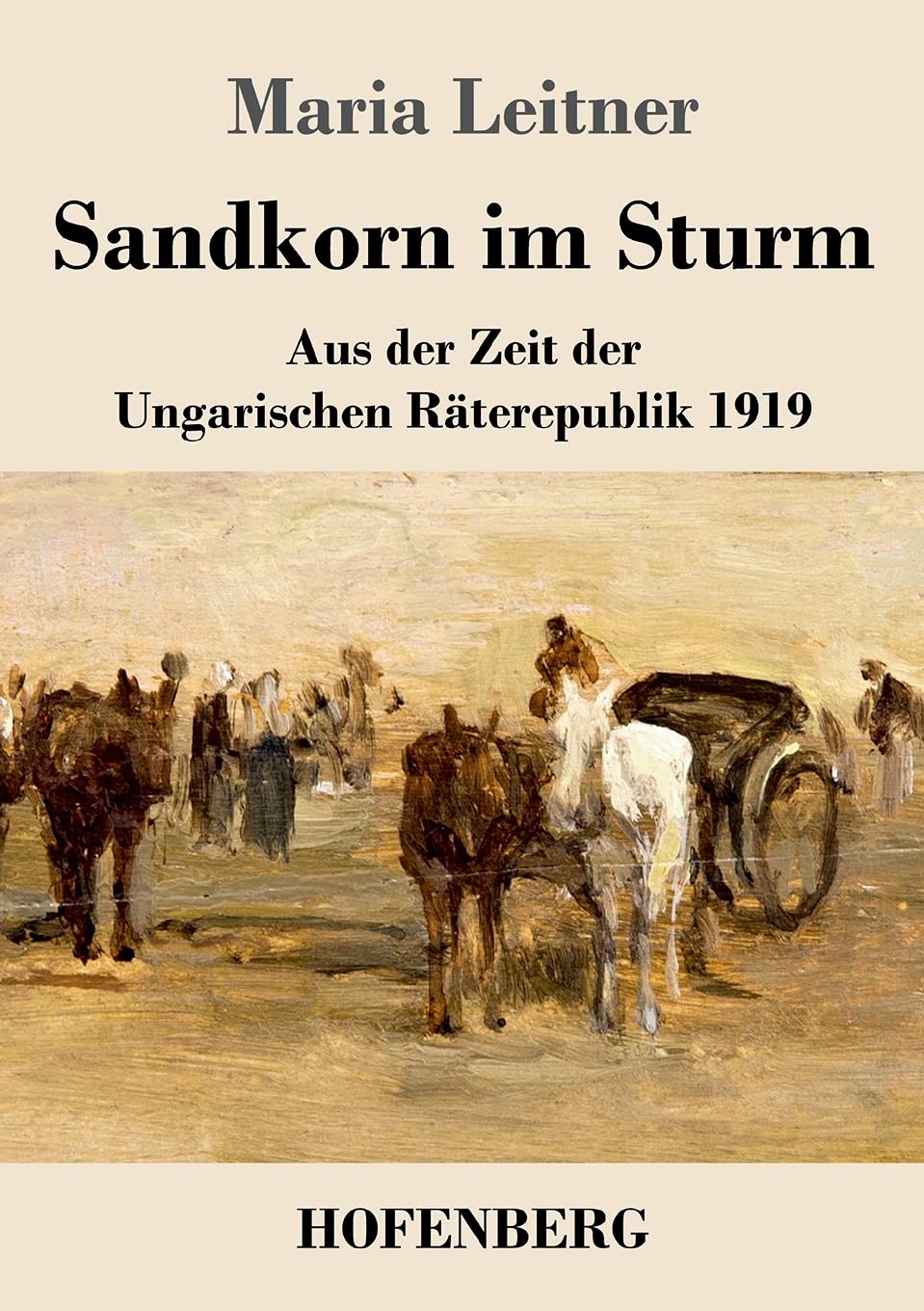 Sandkorn im Sturm: Aus der Zeit der Ungarischen Räterepublik 1919 Contemporary literature