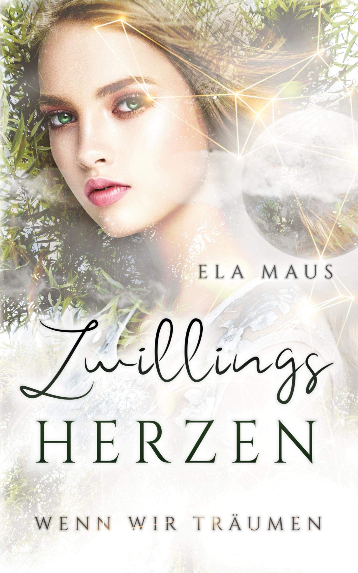 Zwillingsherzen: Wenn wir träumen Contemporary literature