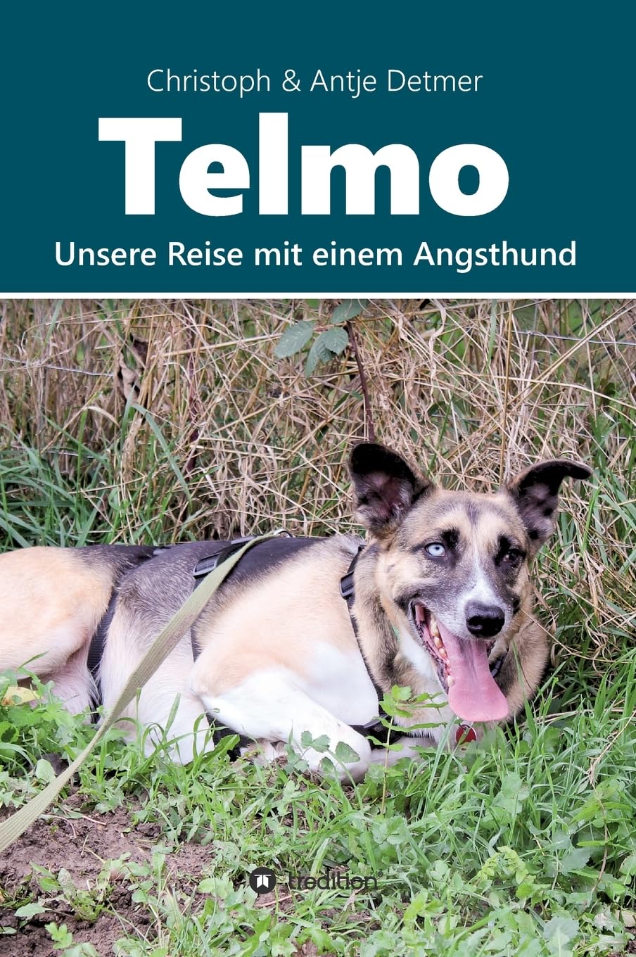 Telmo: Unsere Reise mit einem Angsthund Pets