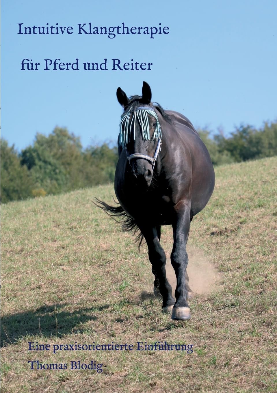Intuitive Klangtherapie für Pferd und Reiter: Eine praxisorientierte Einführung Hobbies & Crafts