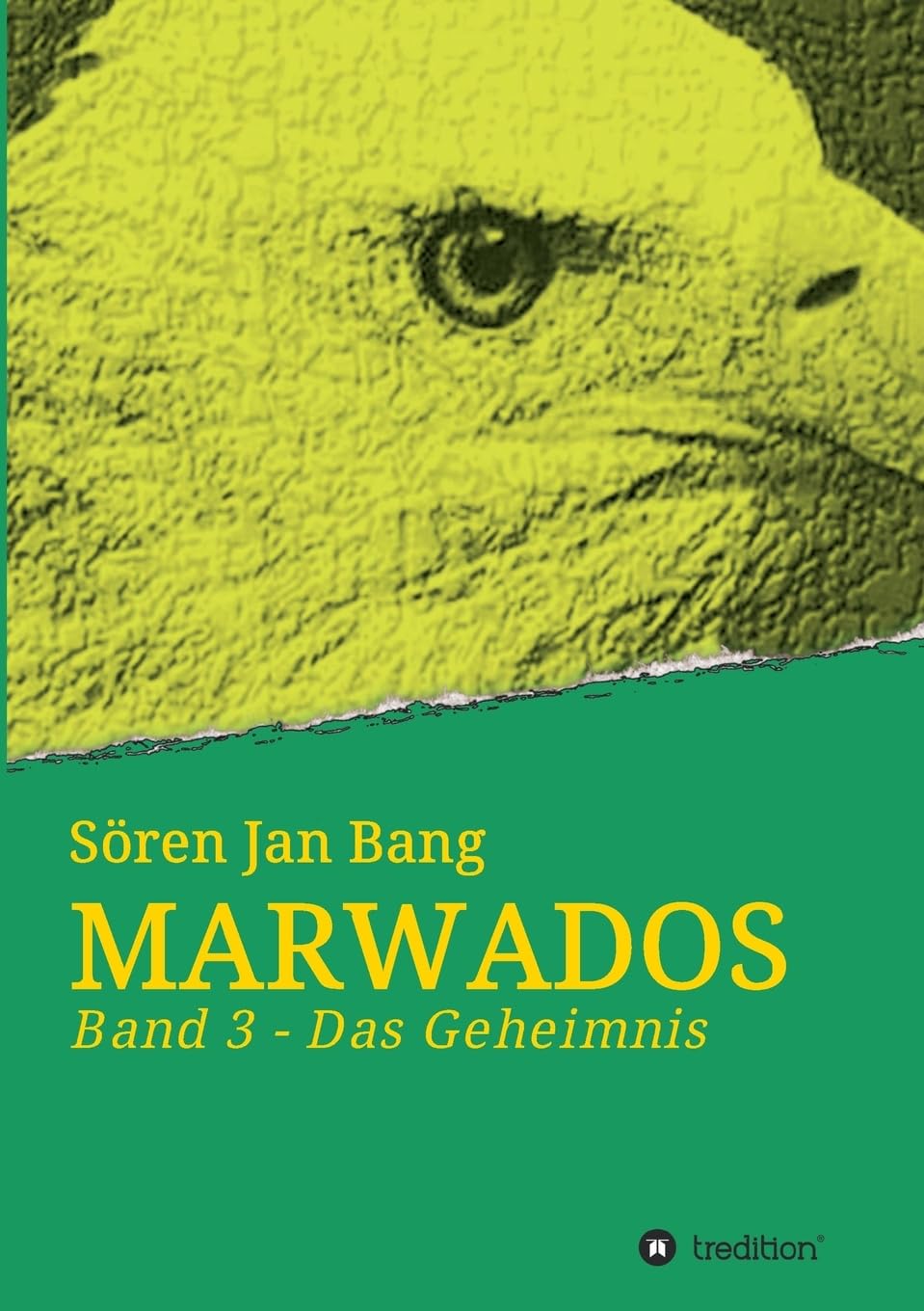 MARWADOS: Band 3 - Das Geheimnis Contemporary literature