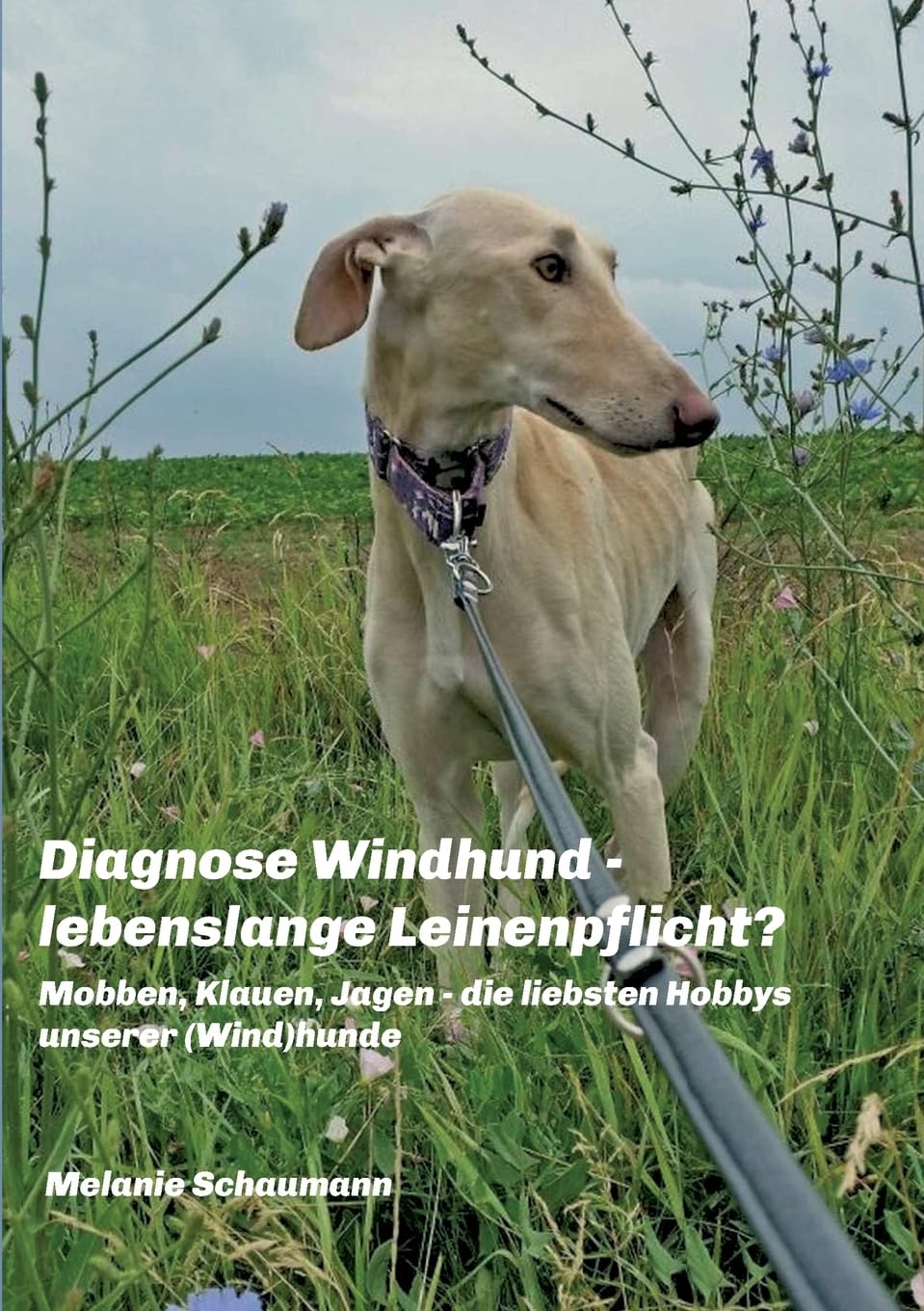 Diagnose Windhund - lebenslange Leinenpflicht? Pets