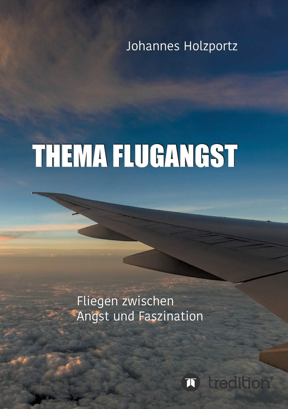 Thema Flugangst Contemporary literature