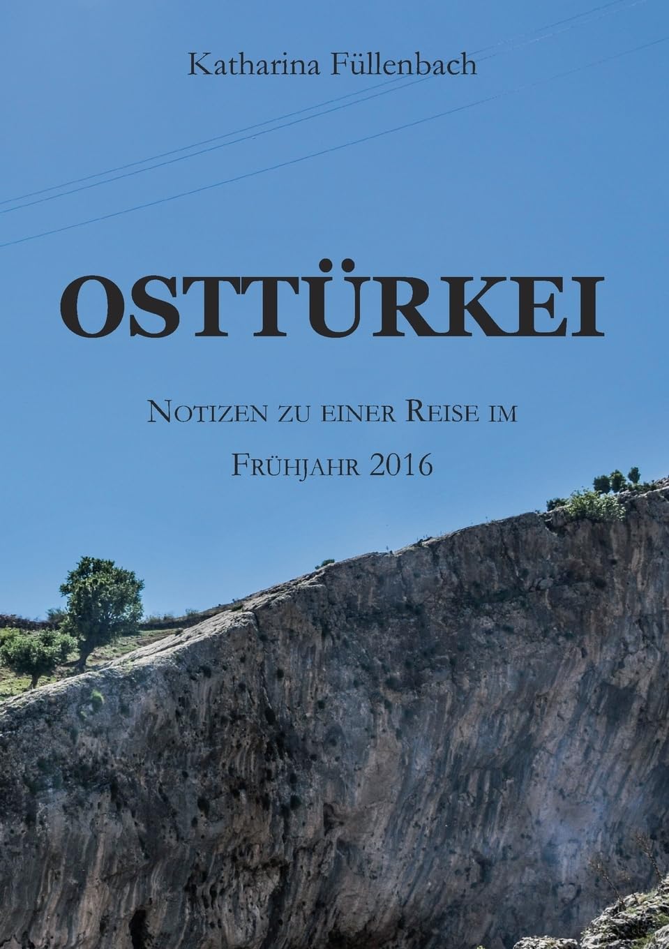 OSTTÜRKEI: Notizen zu einer Reise im Frühjahr 2016 (Reisepostillen) Leisure, Home & Garden