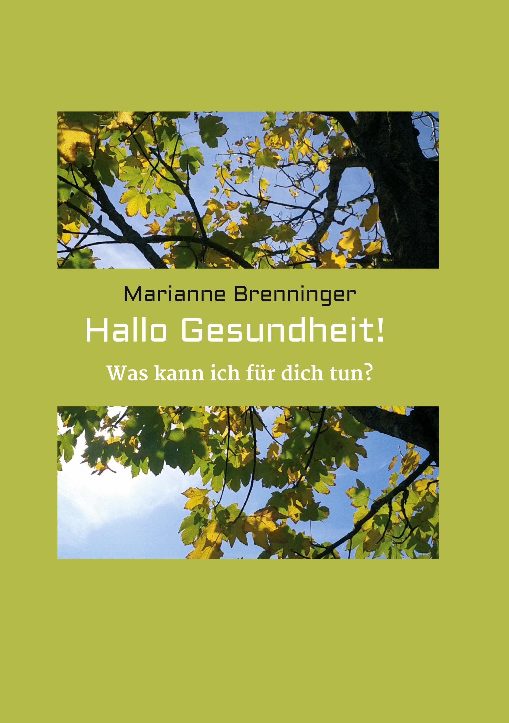 Hallo Gesundheit!: Was kann ich für dich tun? Learning & Reference