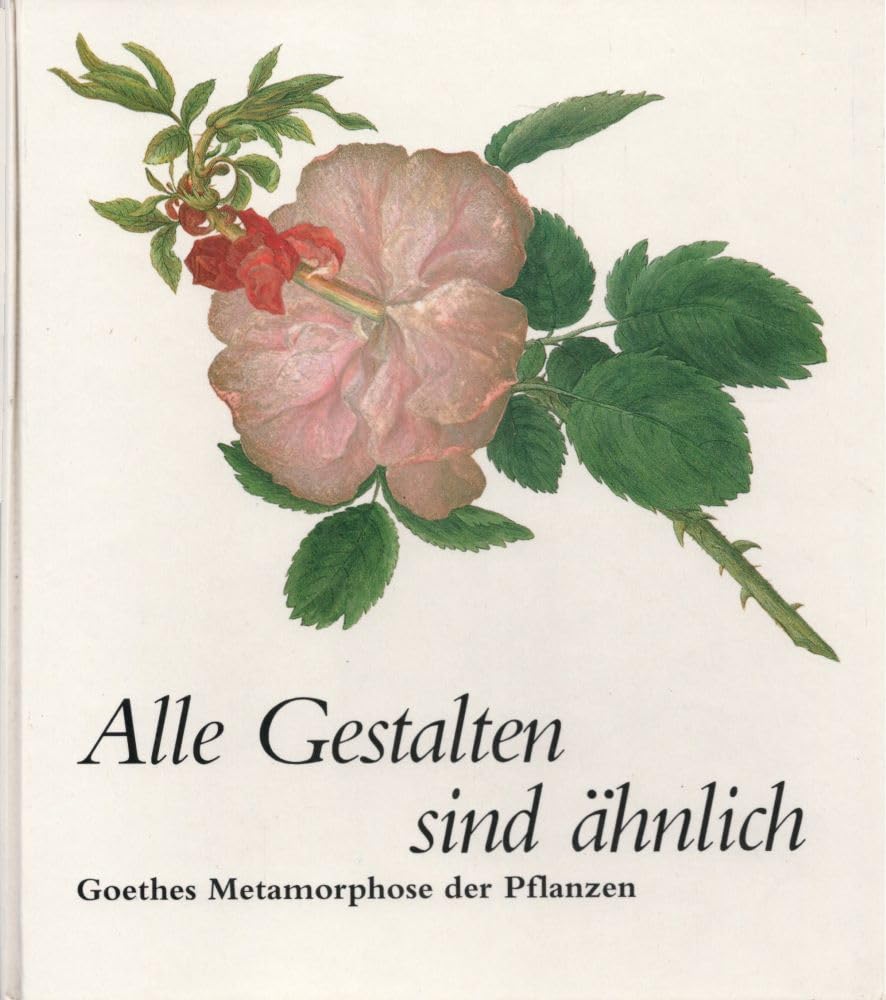 Alle Gestalten sind ähnlich. Goethes Metamorphose der Pflanzen Leisure, Home & Garden