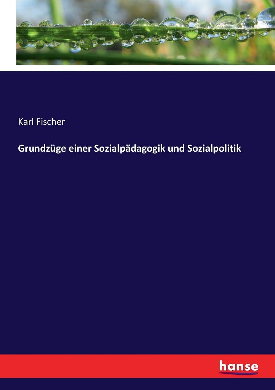 Grundzüge einer Sozialpädagogik und Sozialpolitik Law