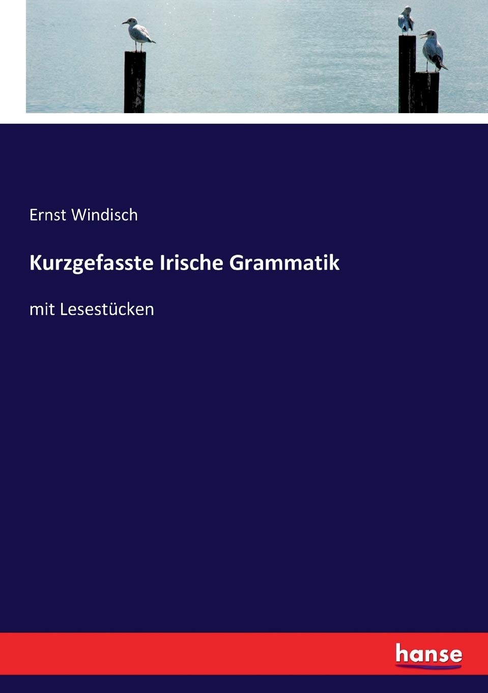 Kurzgefasste Irische Grammatik: mit Lesestücken Foreign Languages ​​& Dictionaries