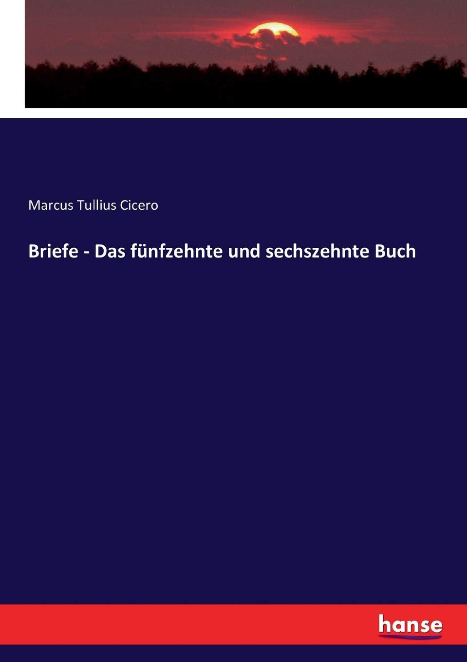 Briefe - Das fünfzehnte und sechszehnte Buch Politics & History