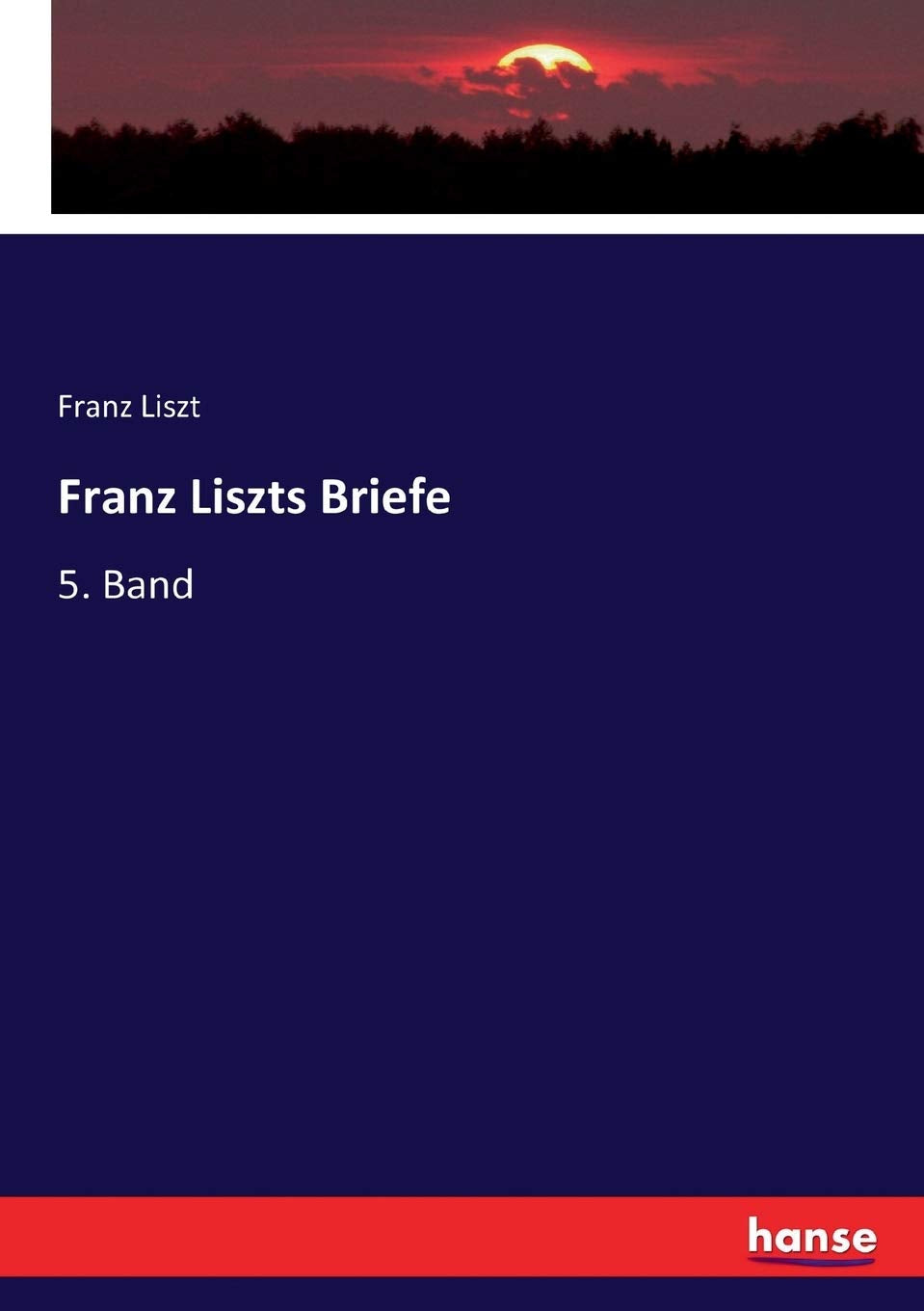 Franz Liszts Briefe: 5. Band Politics & History