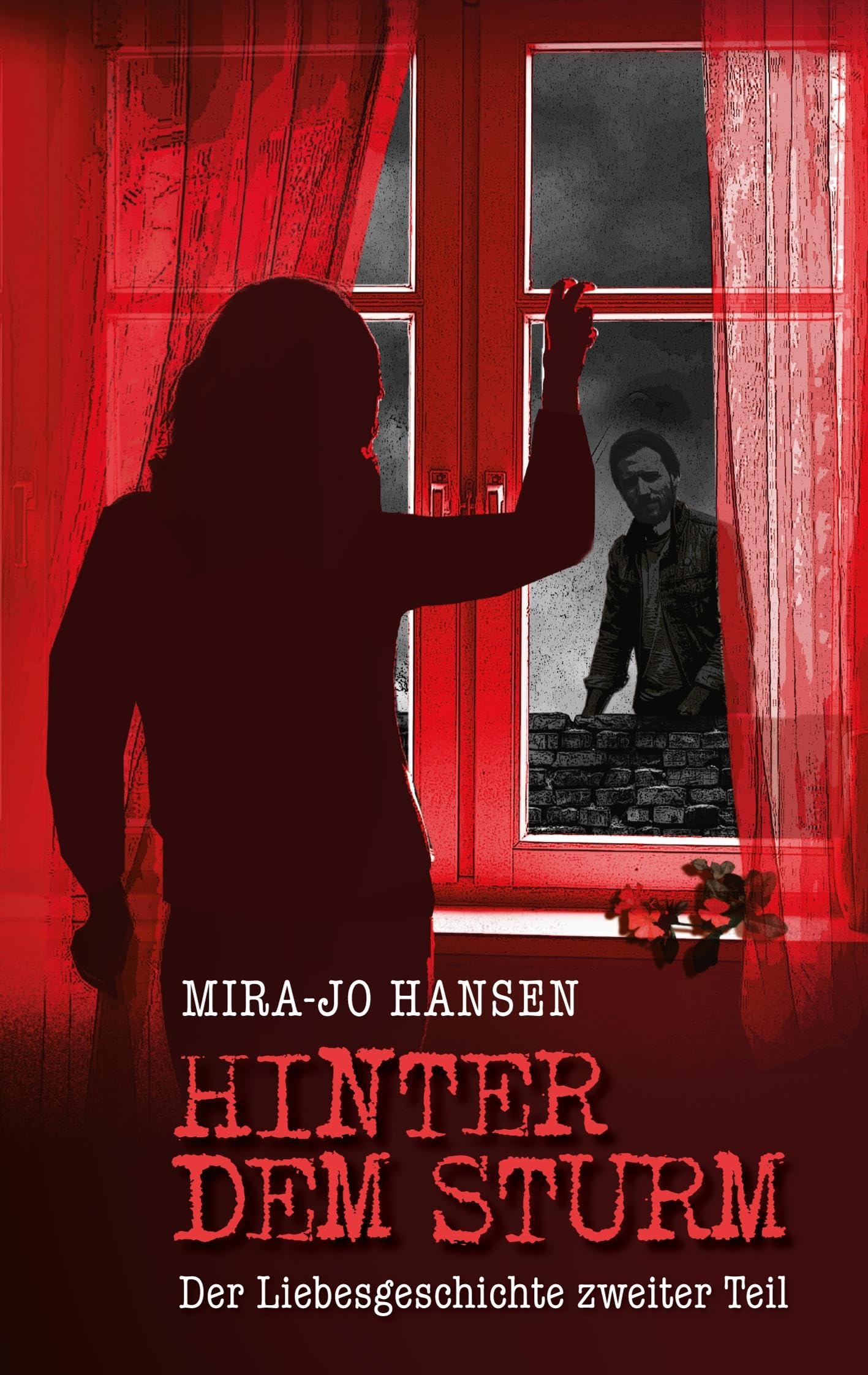 Hinter dem Sturm Contemporary literature Books
