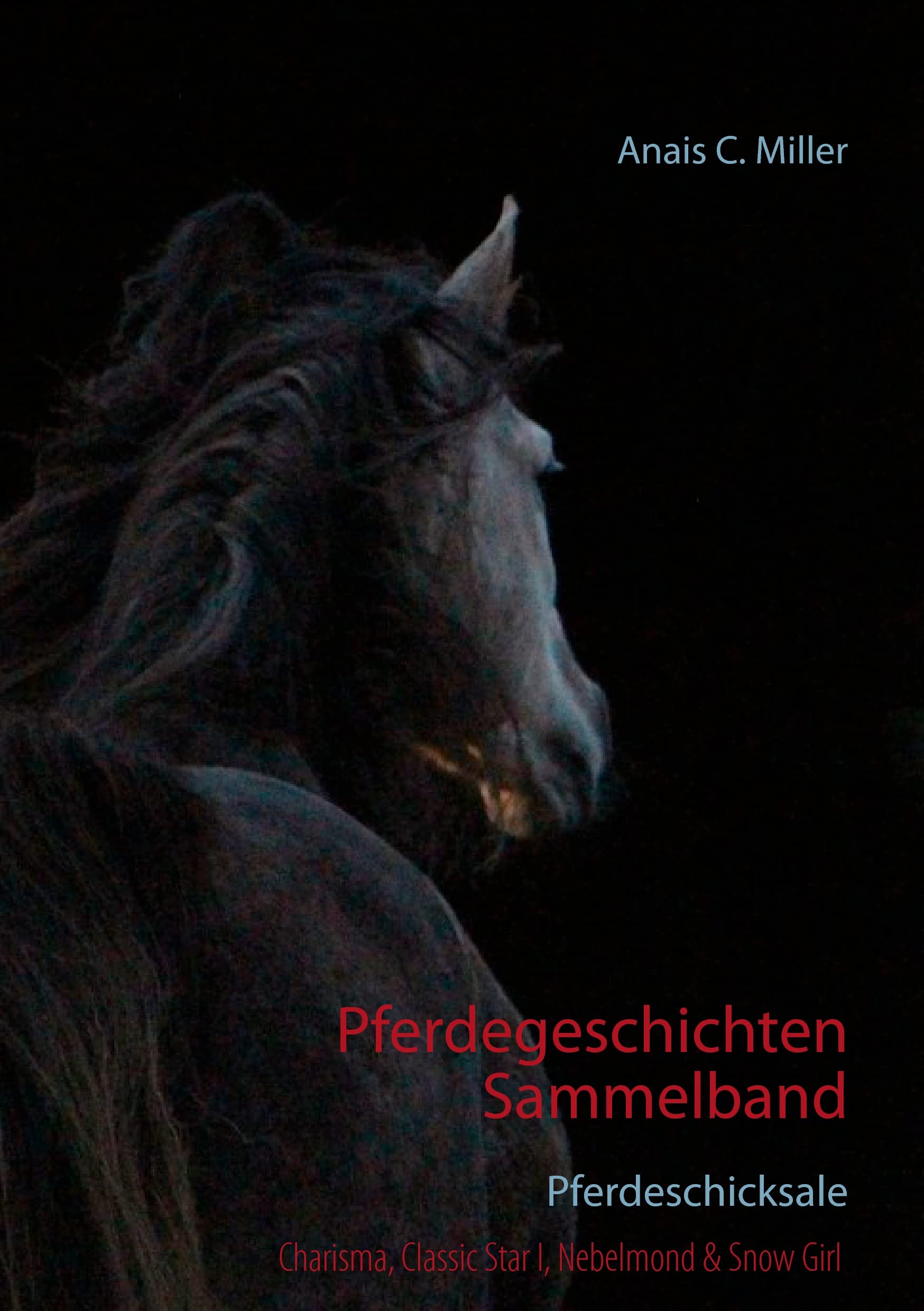 Pferdegeschichten Sammelband Fiction