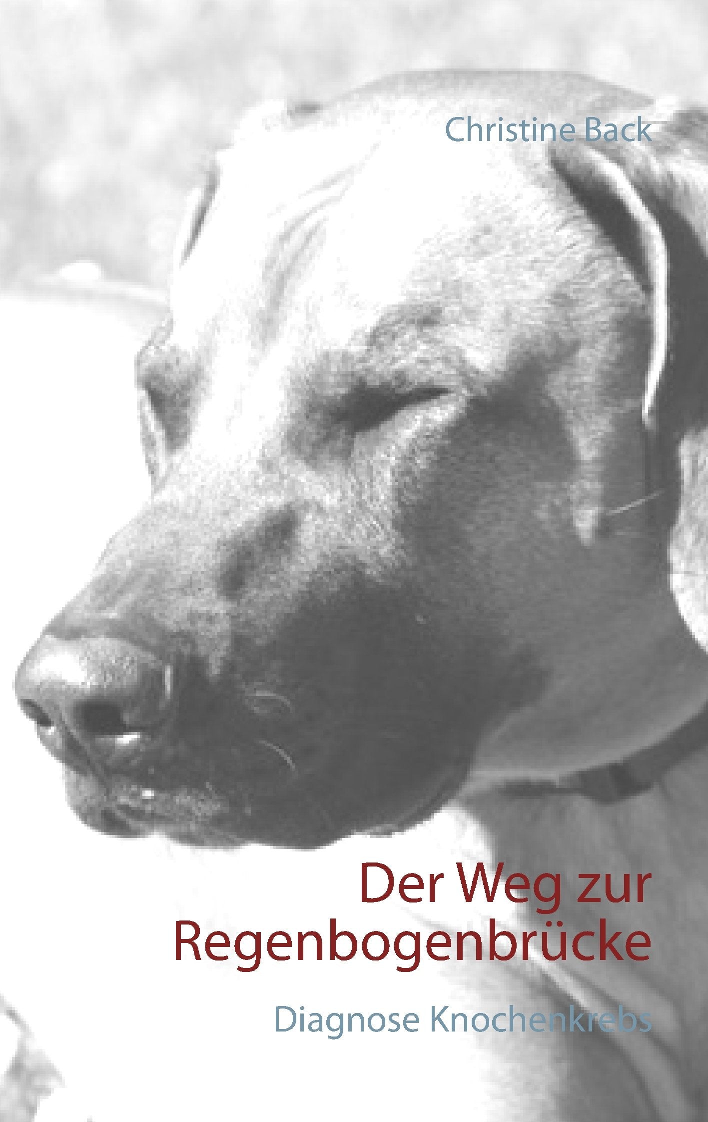 Product Image: Der Weg zur Regenbogenbrücke
