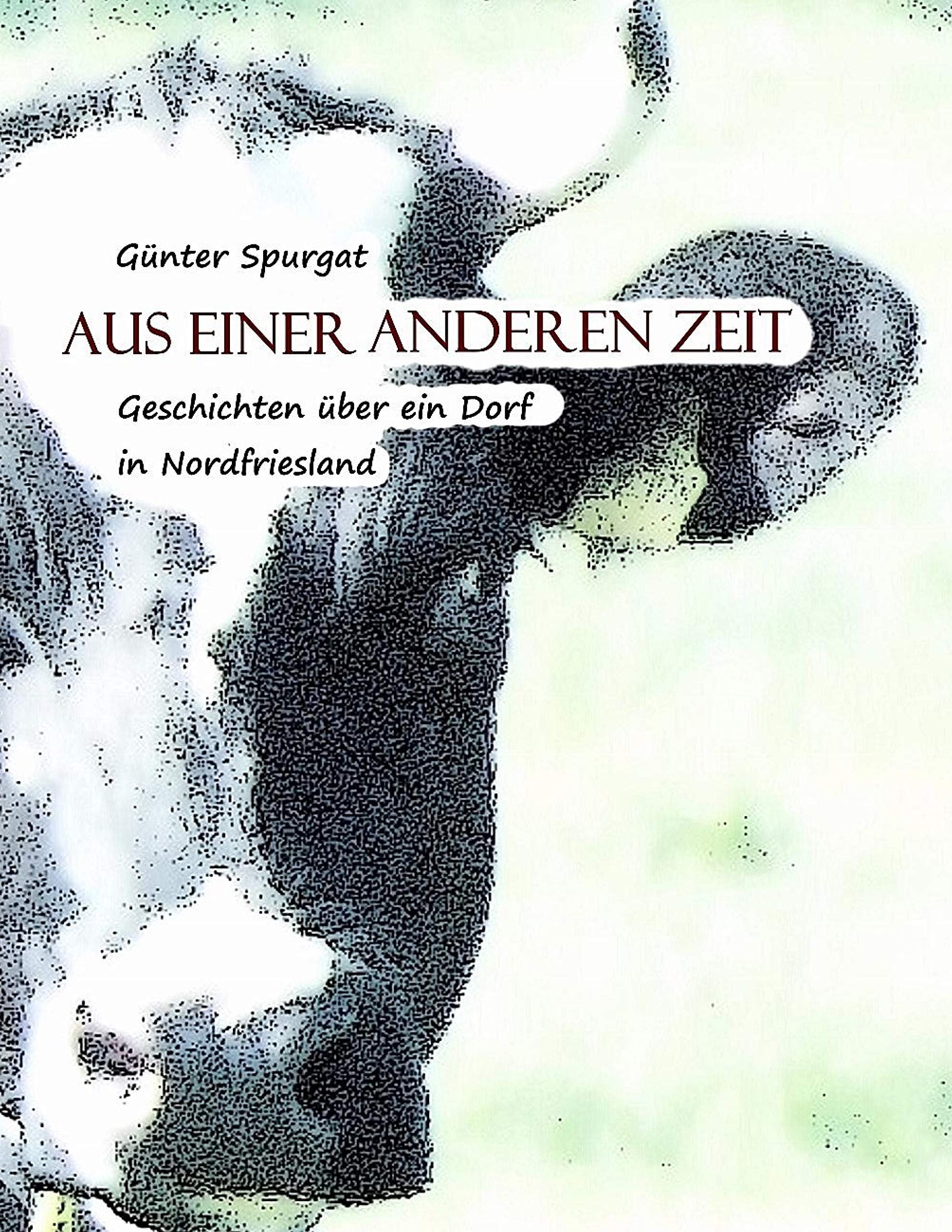 Aus einer anderen Zeit: Geschichten über ein Dorf in Nordfriesland Essays & Short Stories