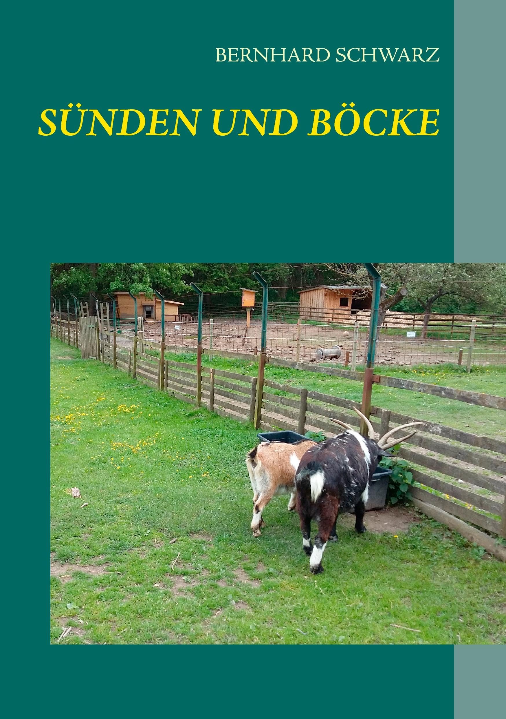 Product Image: Sünden und Böcke