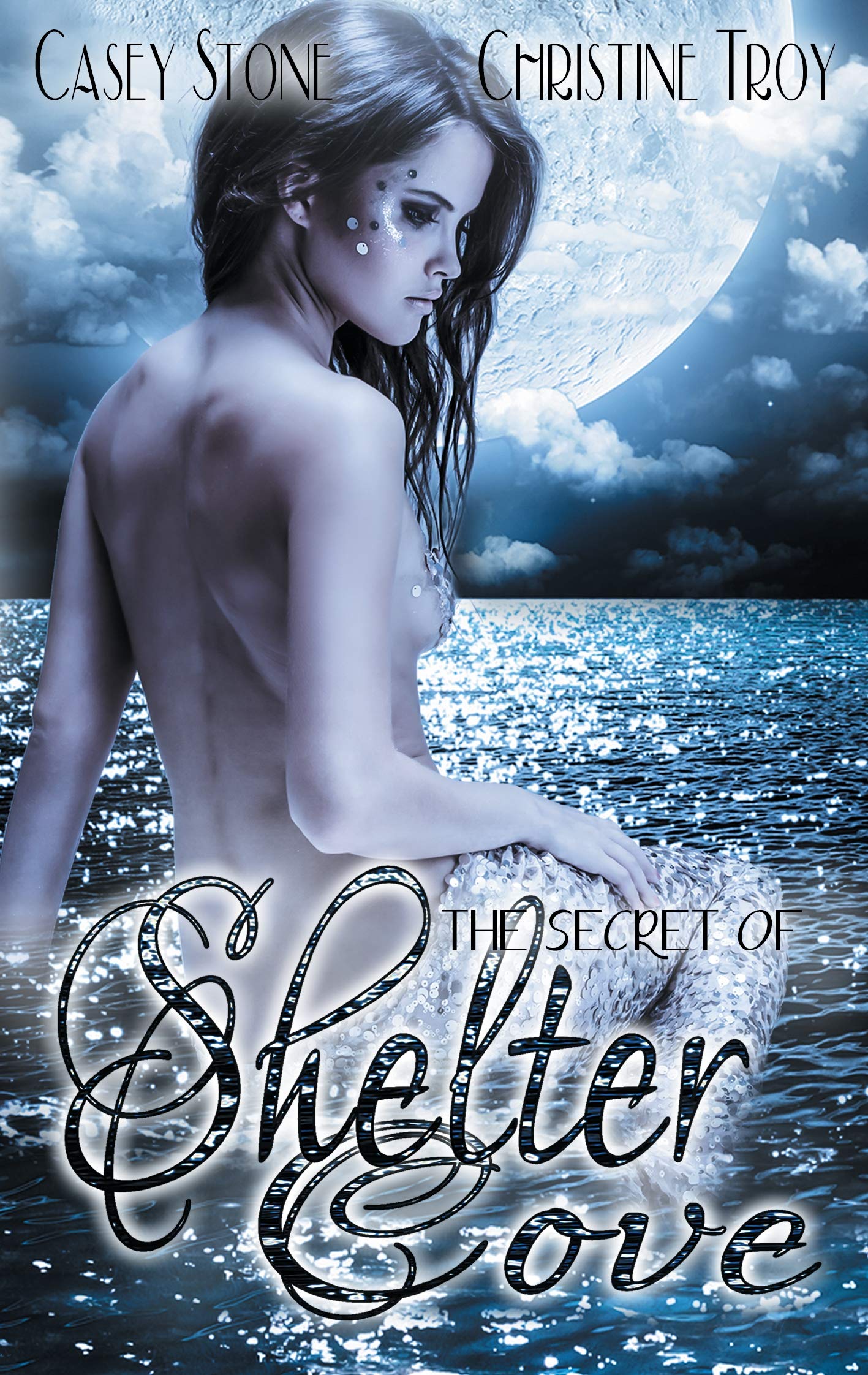 The Secret of Shelter Cove Contemporary literature