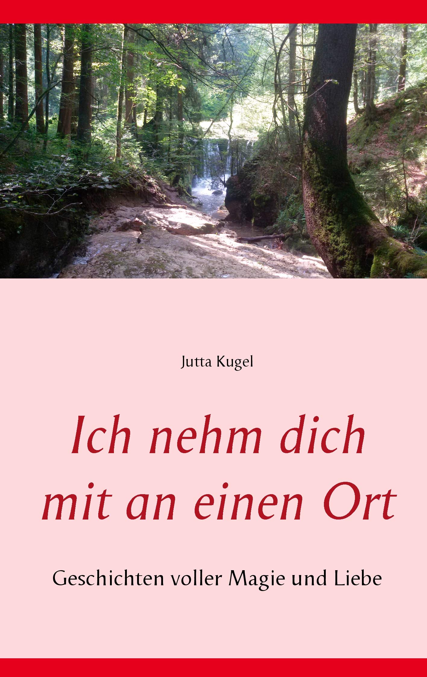 Ich nehm dich mit an einen Ort: Geschichten voller Magie und Liebe book