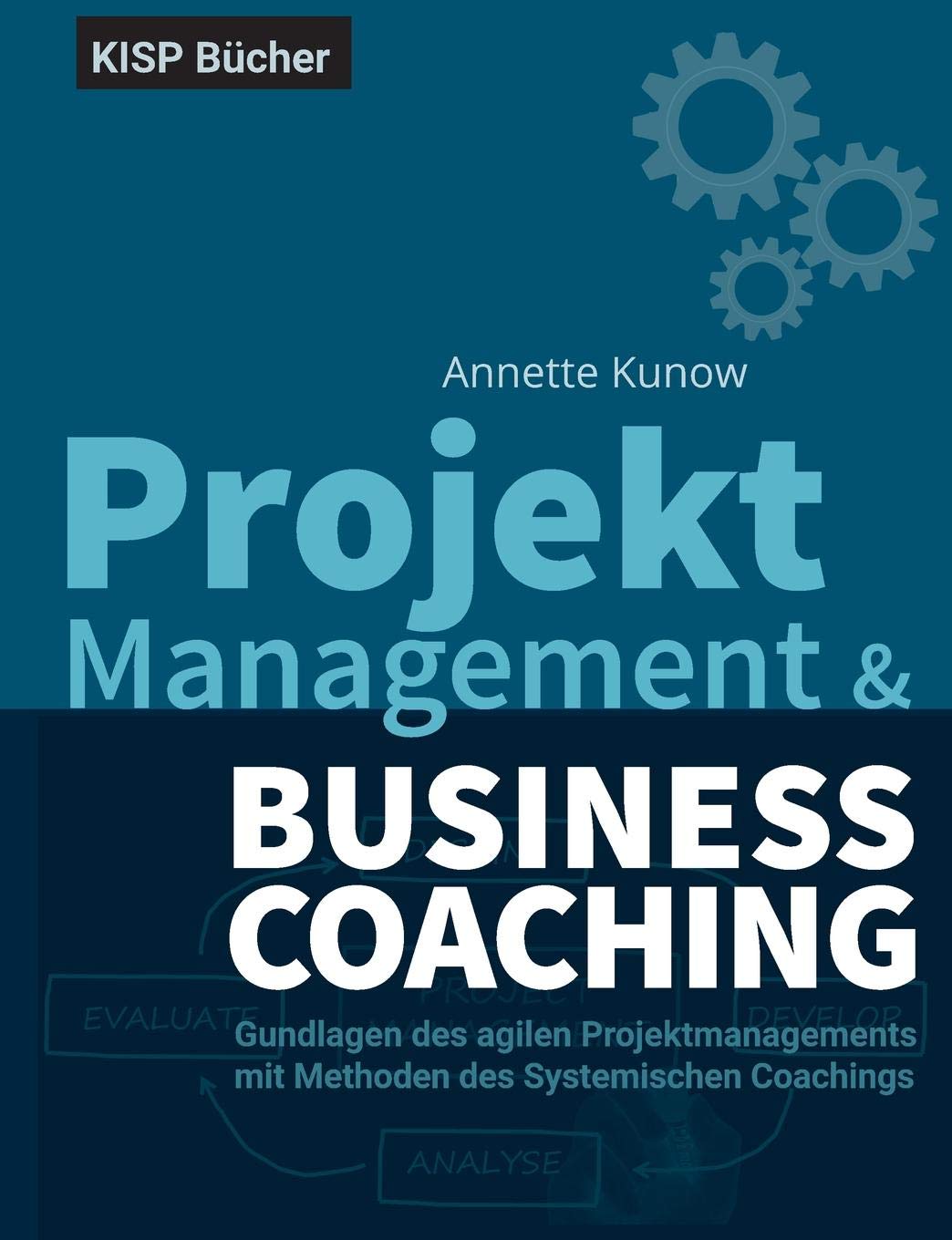 Projektmanagement & Business Coaching: Grundlagen des agilen Projektmanagements mit Methoden des Systemischen Coachings Business, Finance & Career