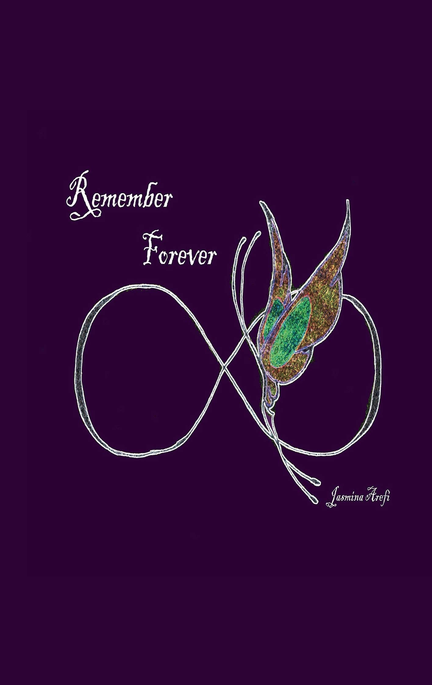 Remember Forever Contemporary literature Books