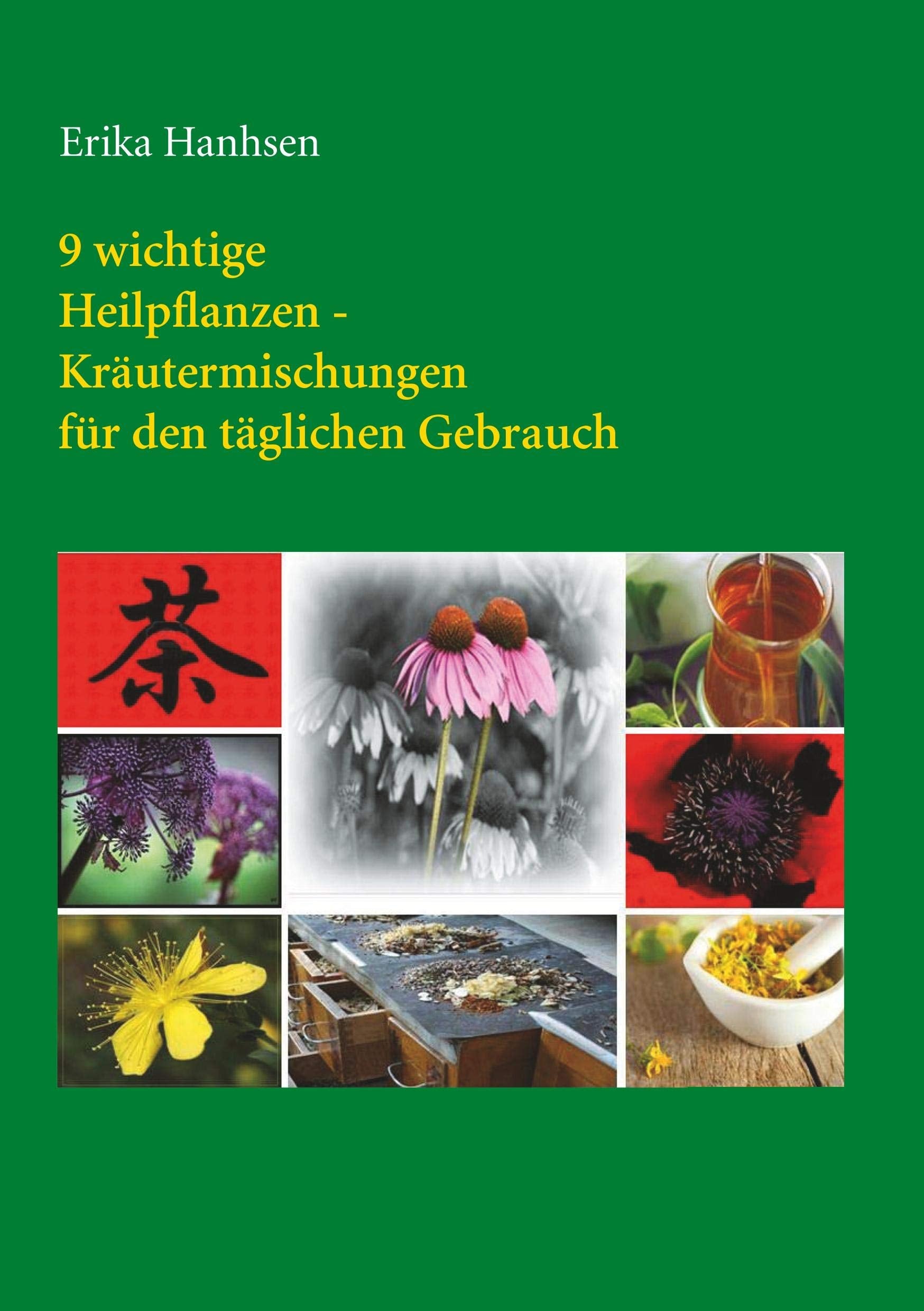 9 wichtige Heilpflanzen-Kräutermischungen für den täglichen Gebrauch book