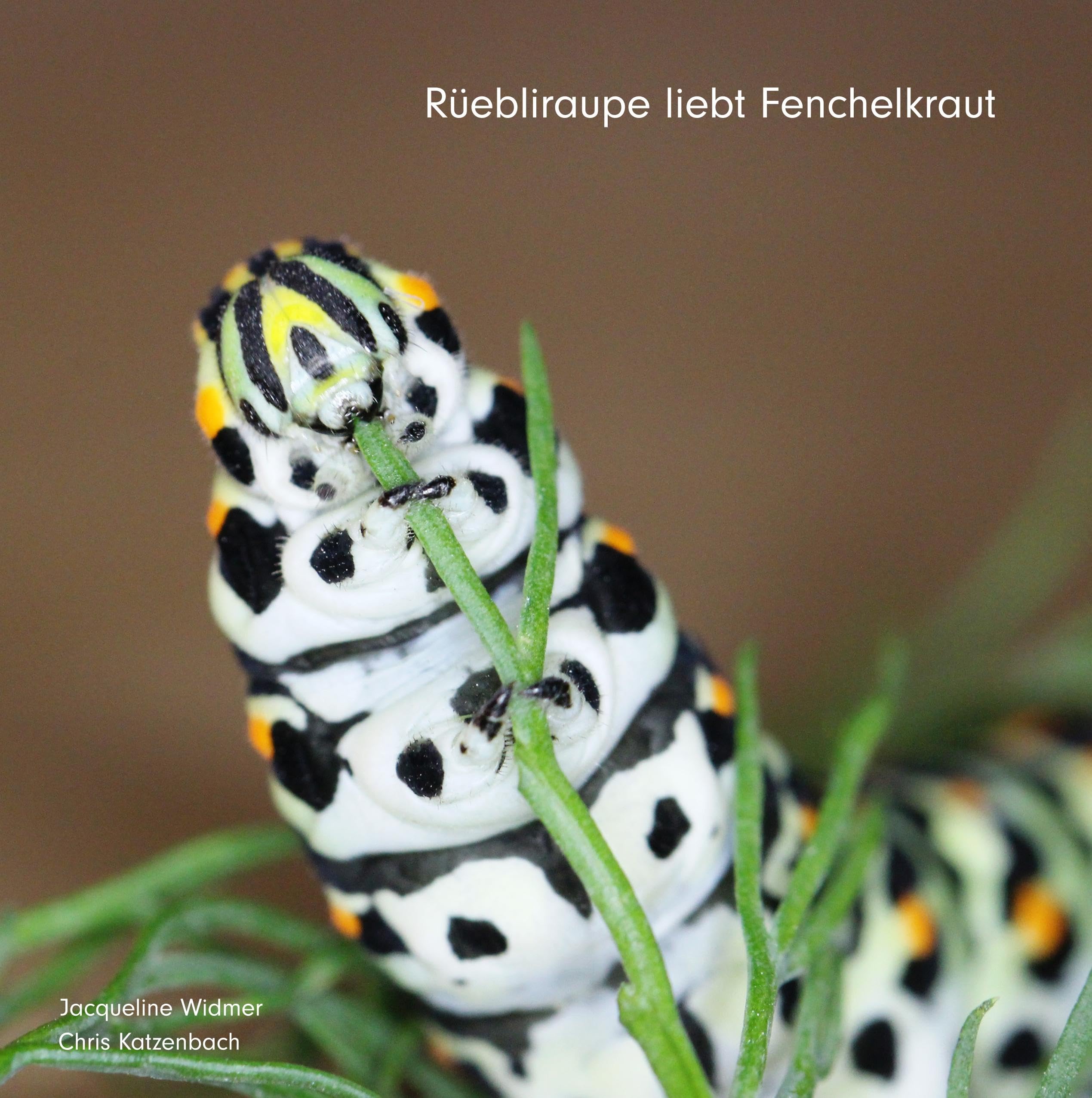 Rüebliraupe liebt Fenchelkraut Non-fiction