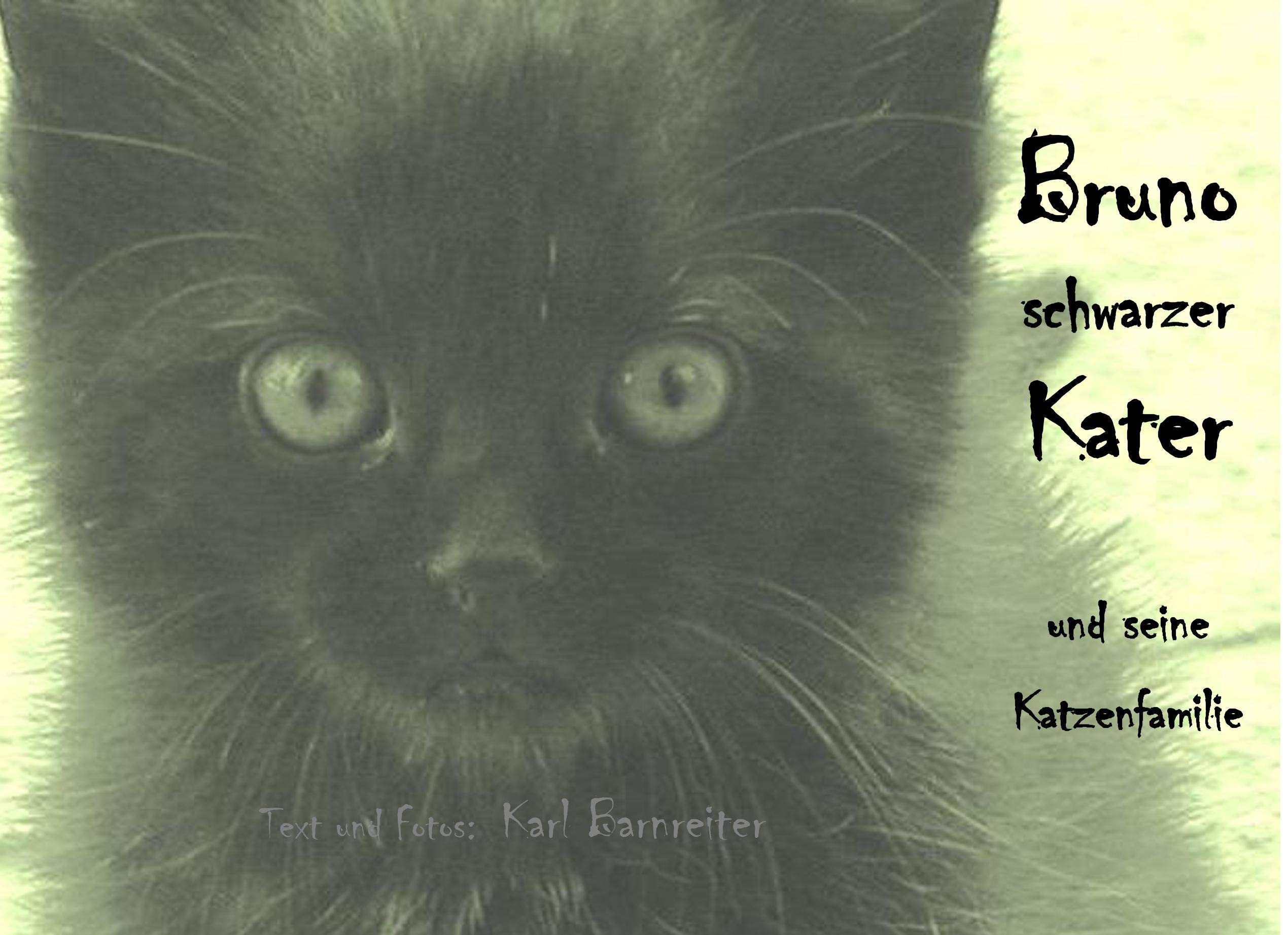 Bruno schwarzer Kater: und seine Katzenfamilie Essays & Short Stories