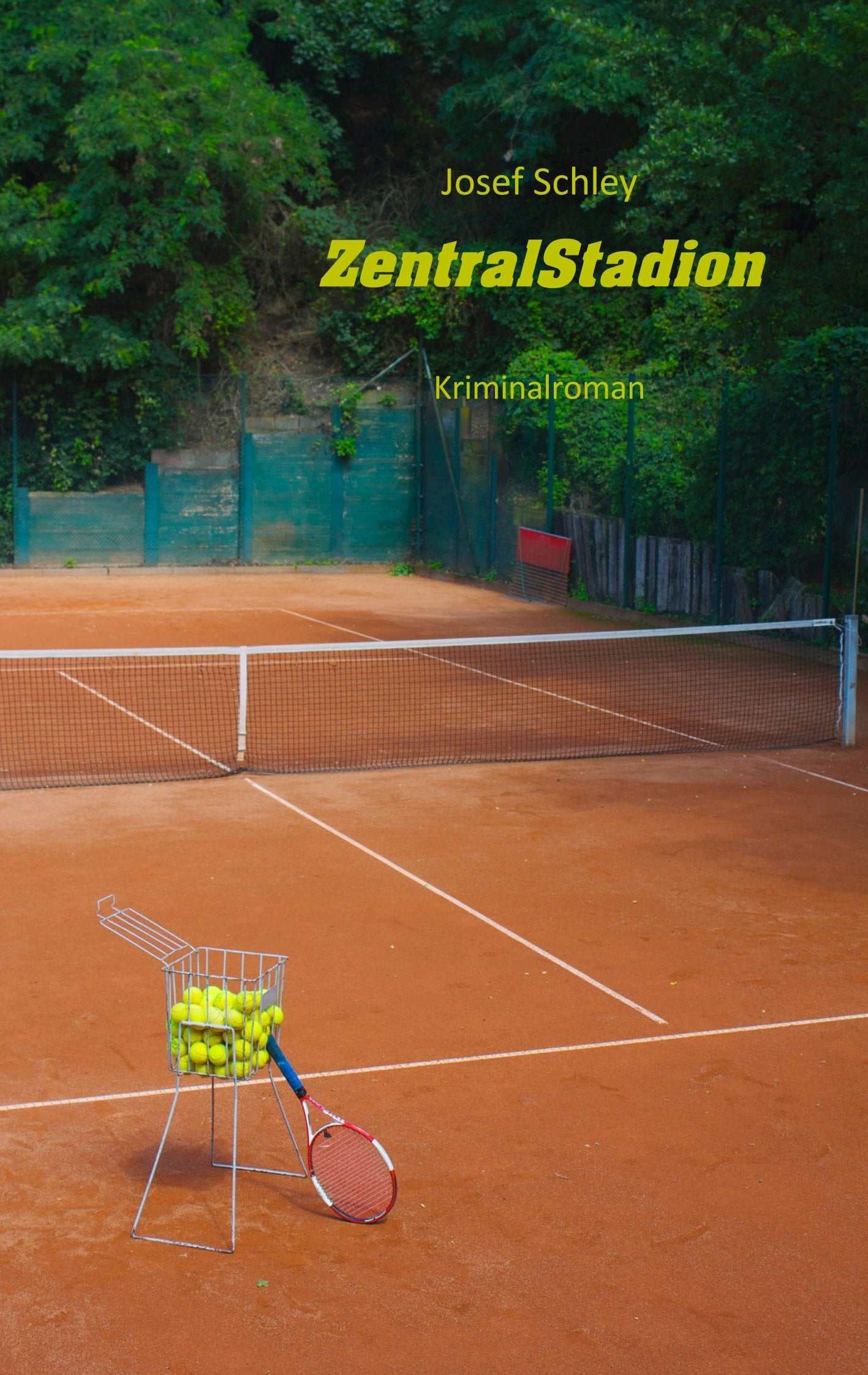 ZentralStadion: Kriminalroman Contemporary literature
