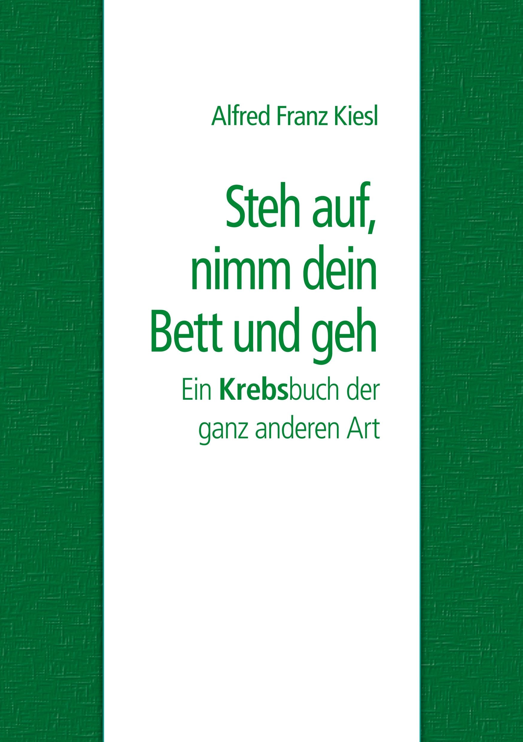 Steh auf, nimm dein Bett und geh book