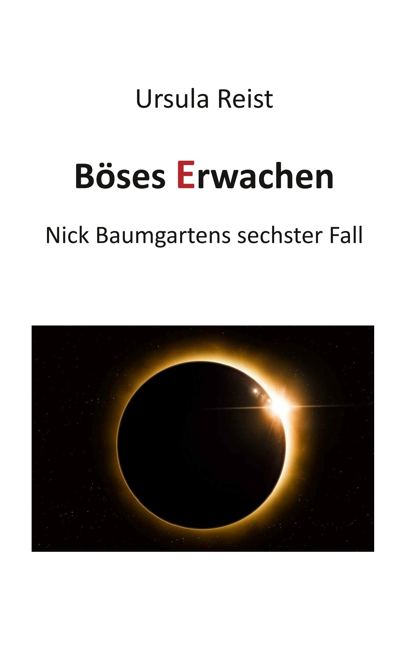 Böses Erwachen: Nick Baumgartens sechster Fall Contemporary literature