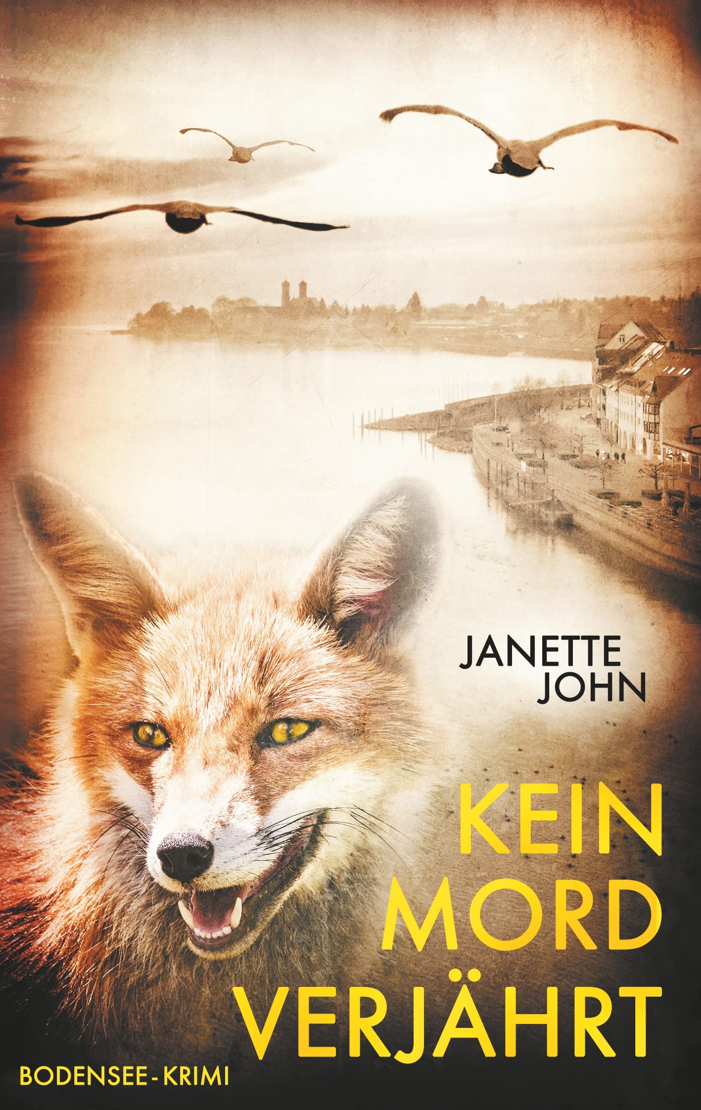 Kein Mord verjährt: Kripo Bodensee 6 Contemporary literature