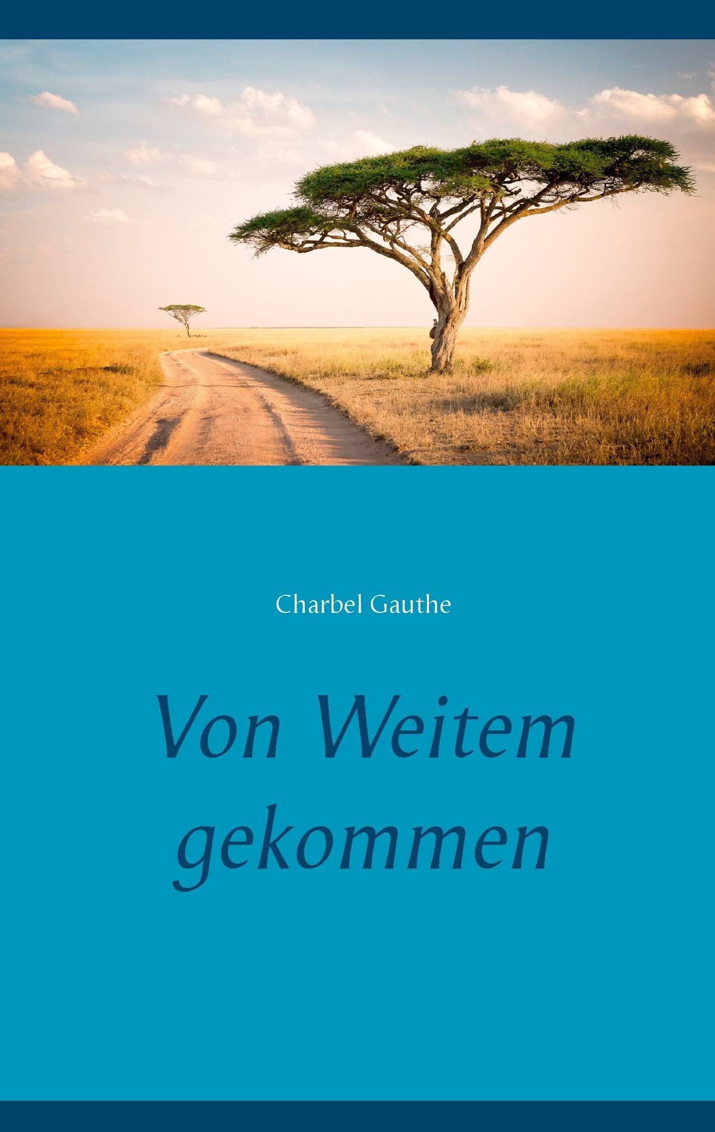 Von Weitem gekommen Contemporary literature