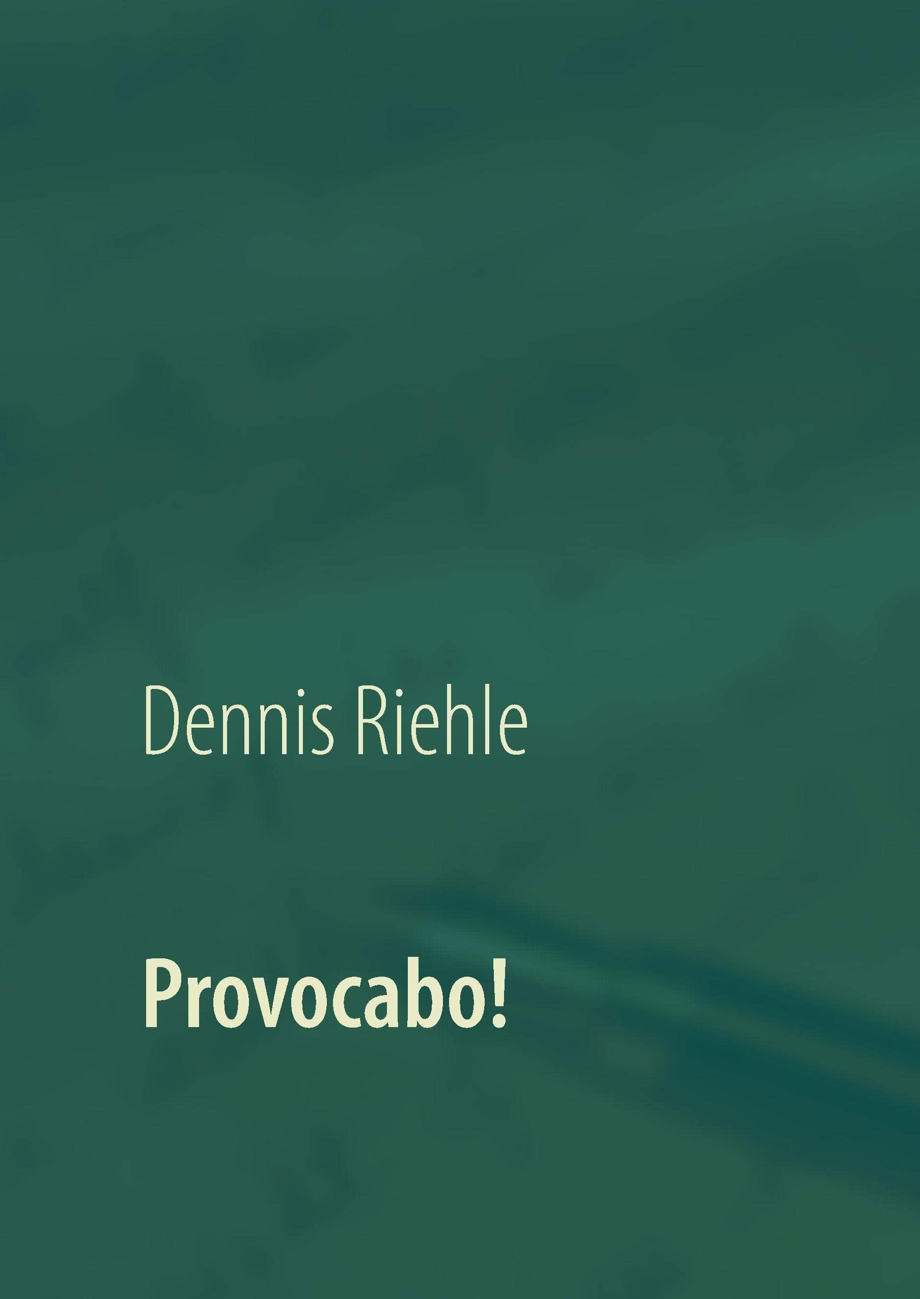 Provocabo! Essays & Short Stories