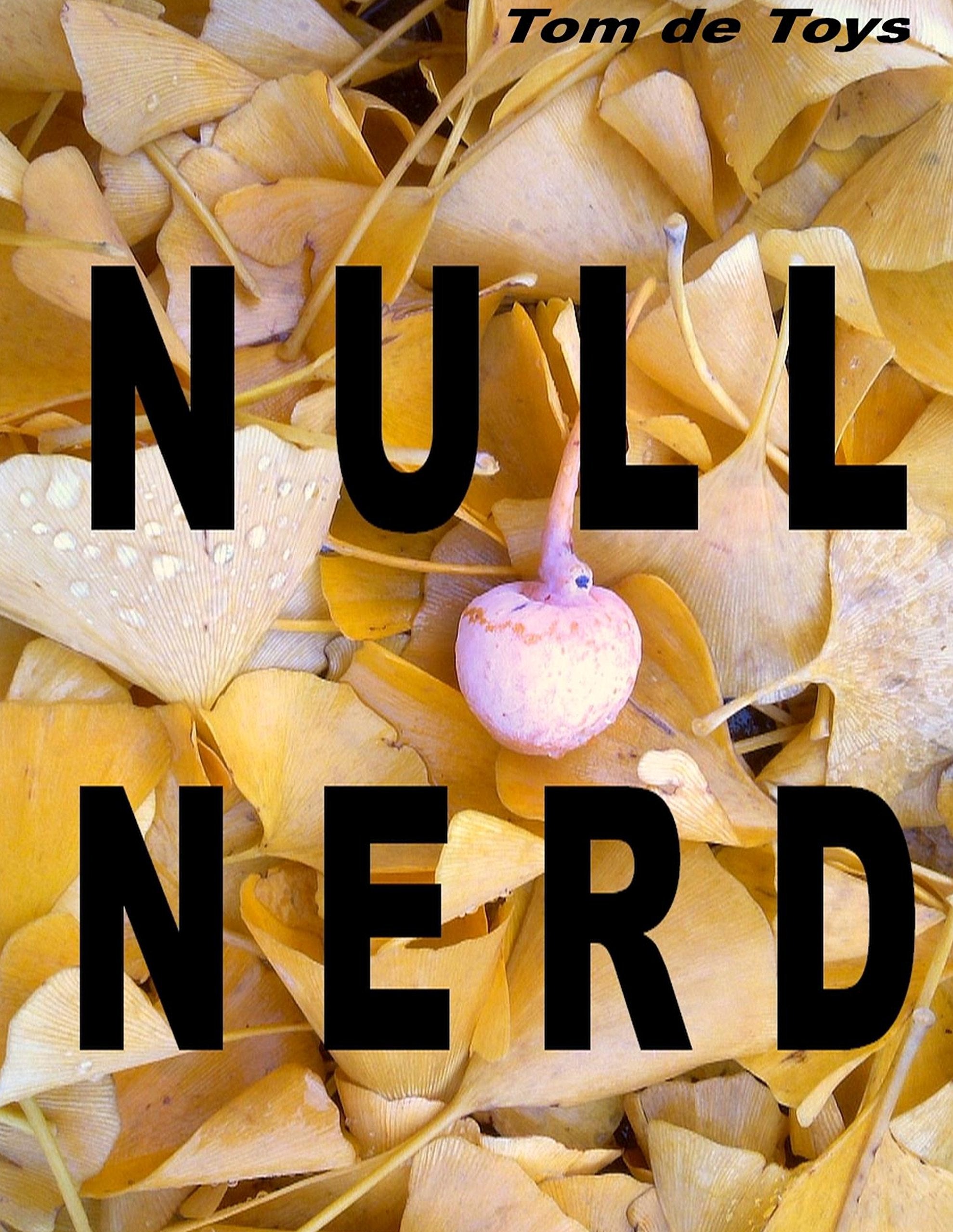 Null Nerd: Natürliche Nondualität Social Sciences