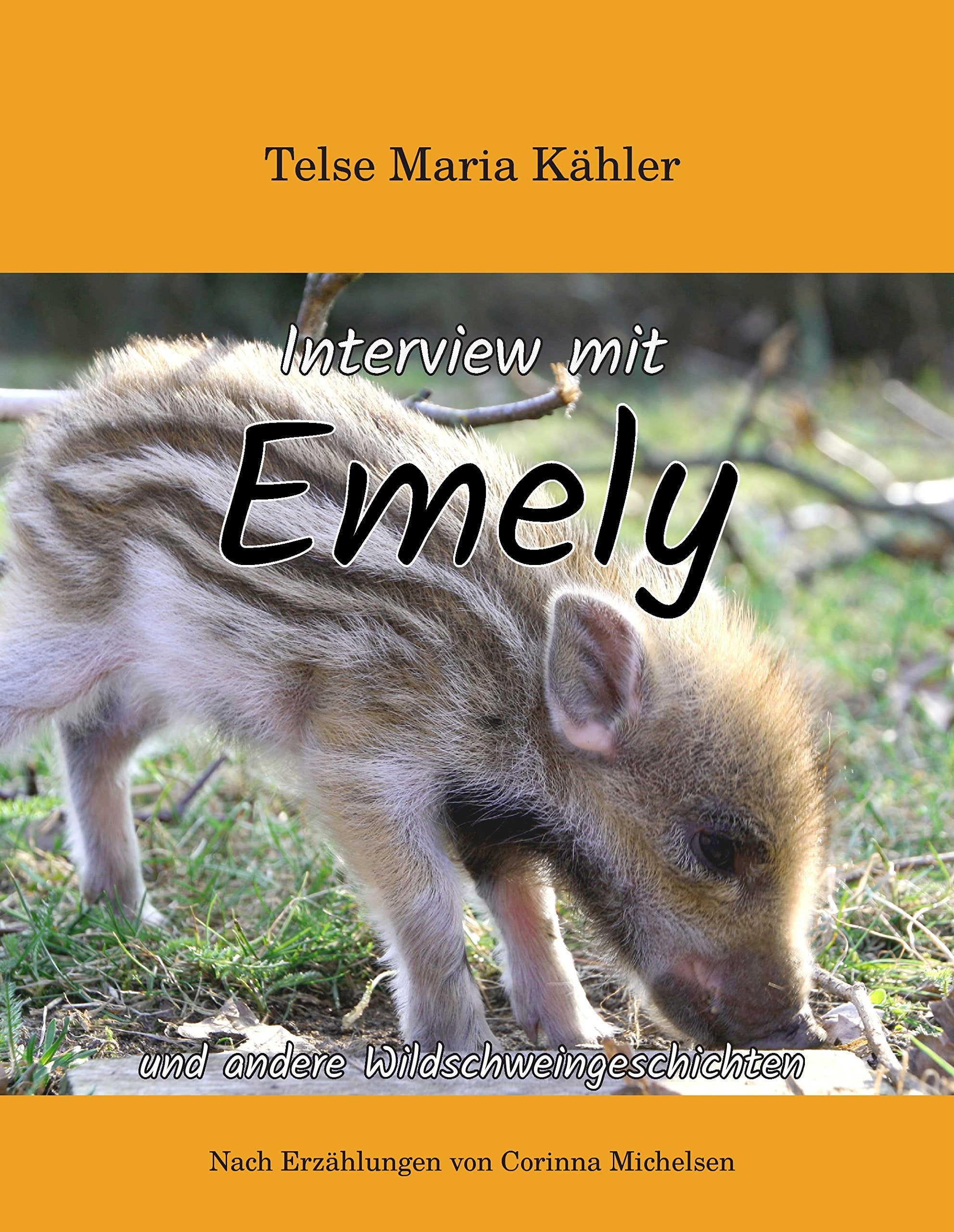 Interview mit Emely Novels & Short Stories